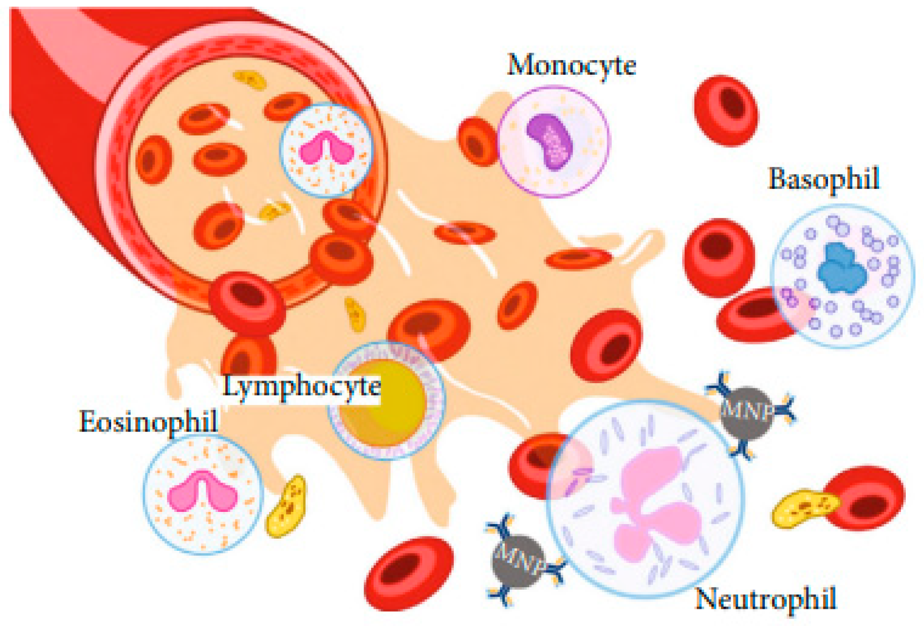 Magnetochemistry 11 00009 g007