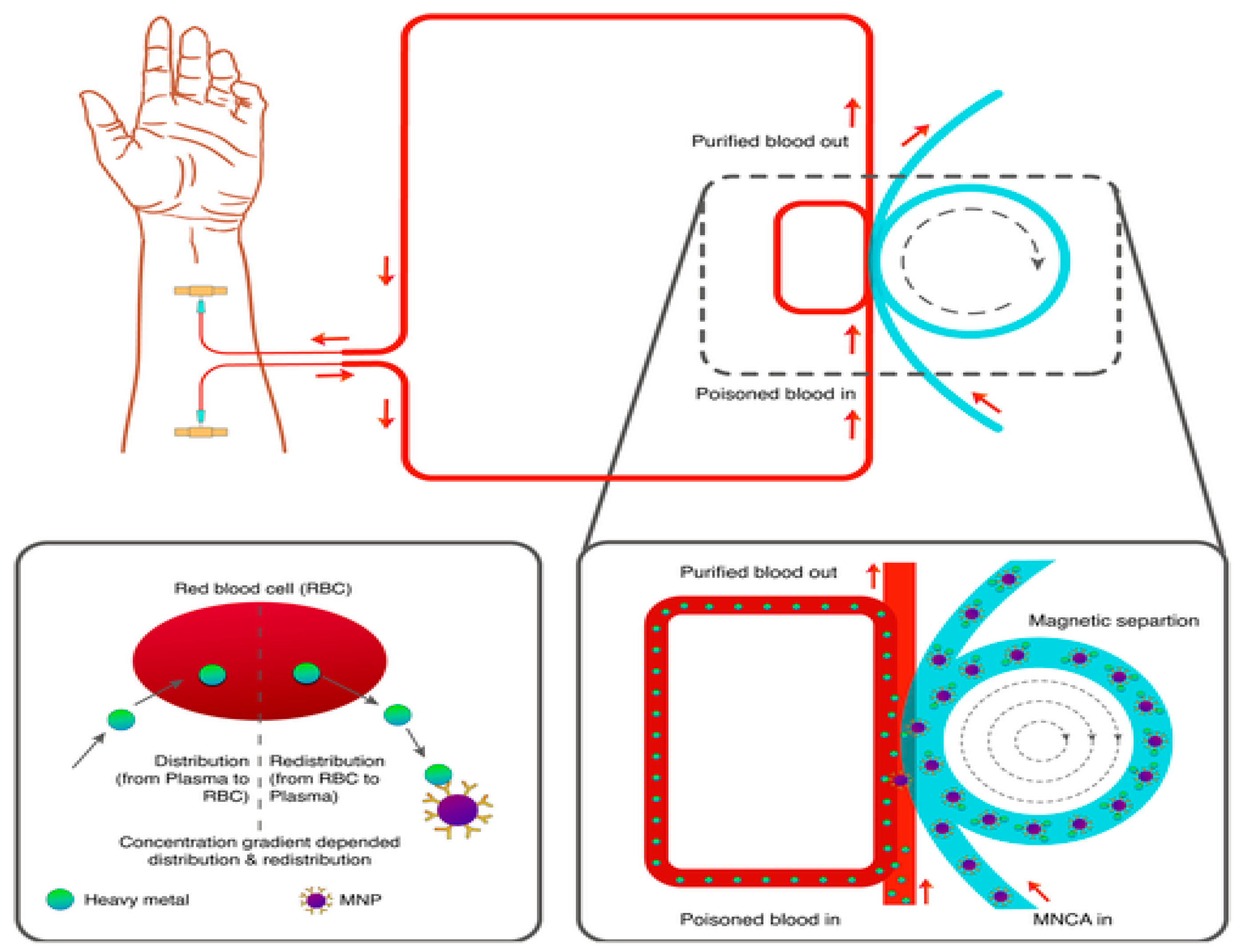 Magnetochemistry 11 00009 g008