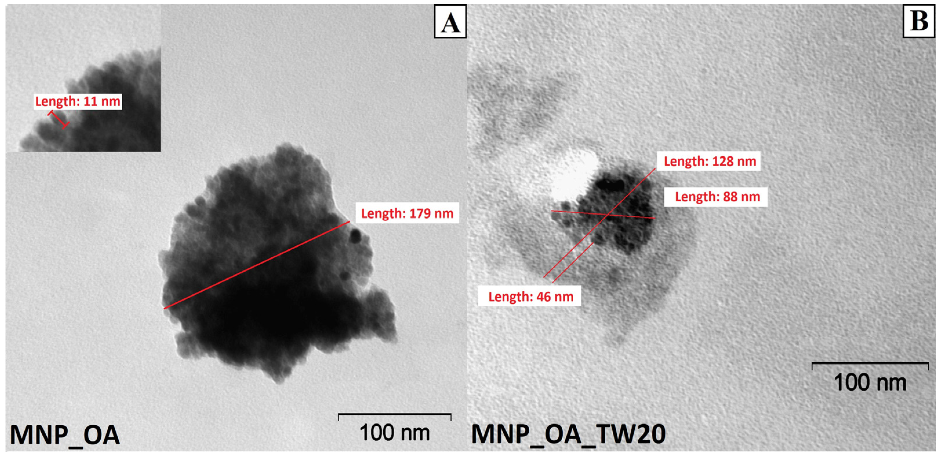Magnetochemistry 11 00013 g002