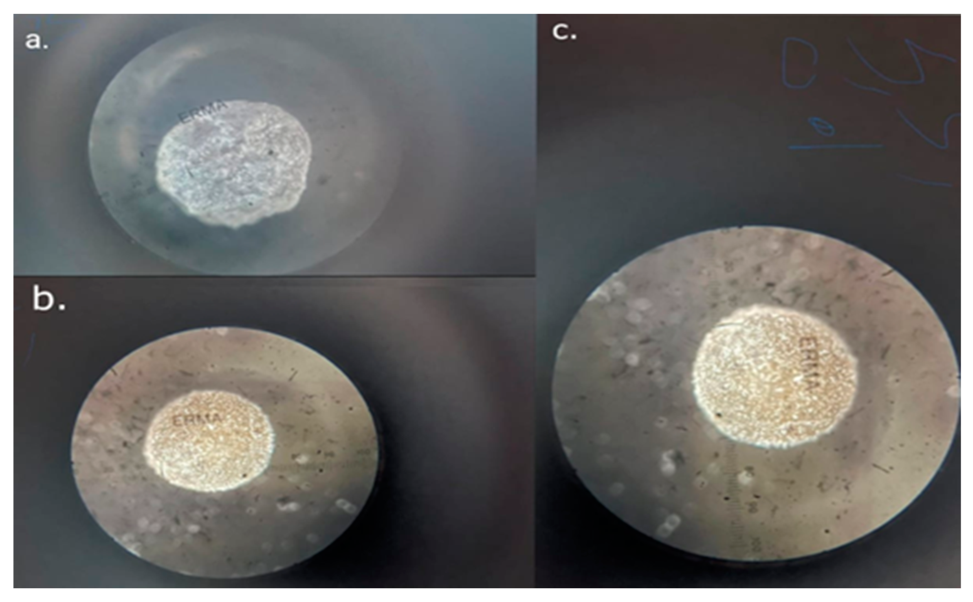 Magnetochemistry 11 00014 g005