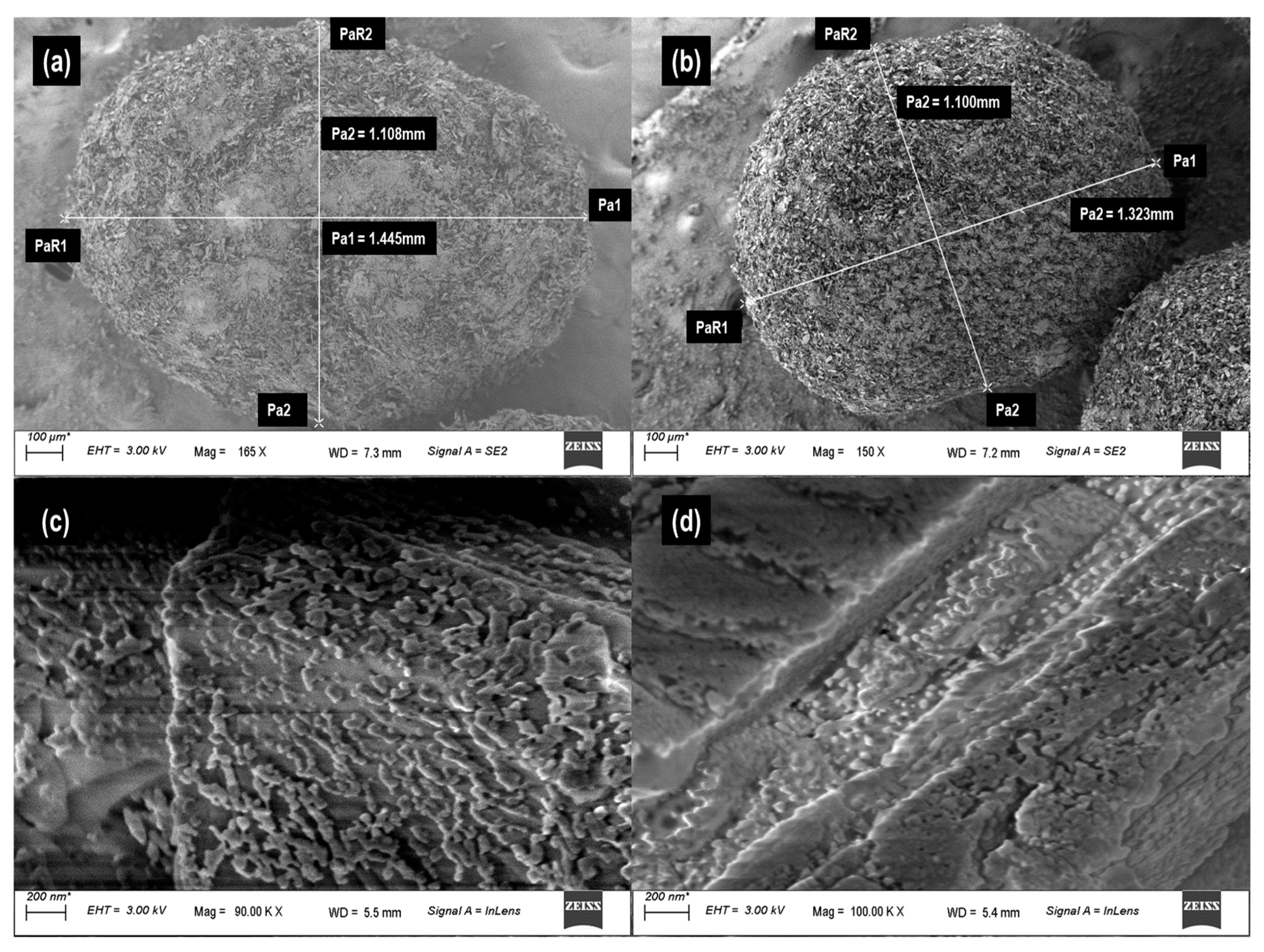 Magnetochemistry 11 00014 g006