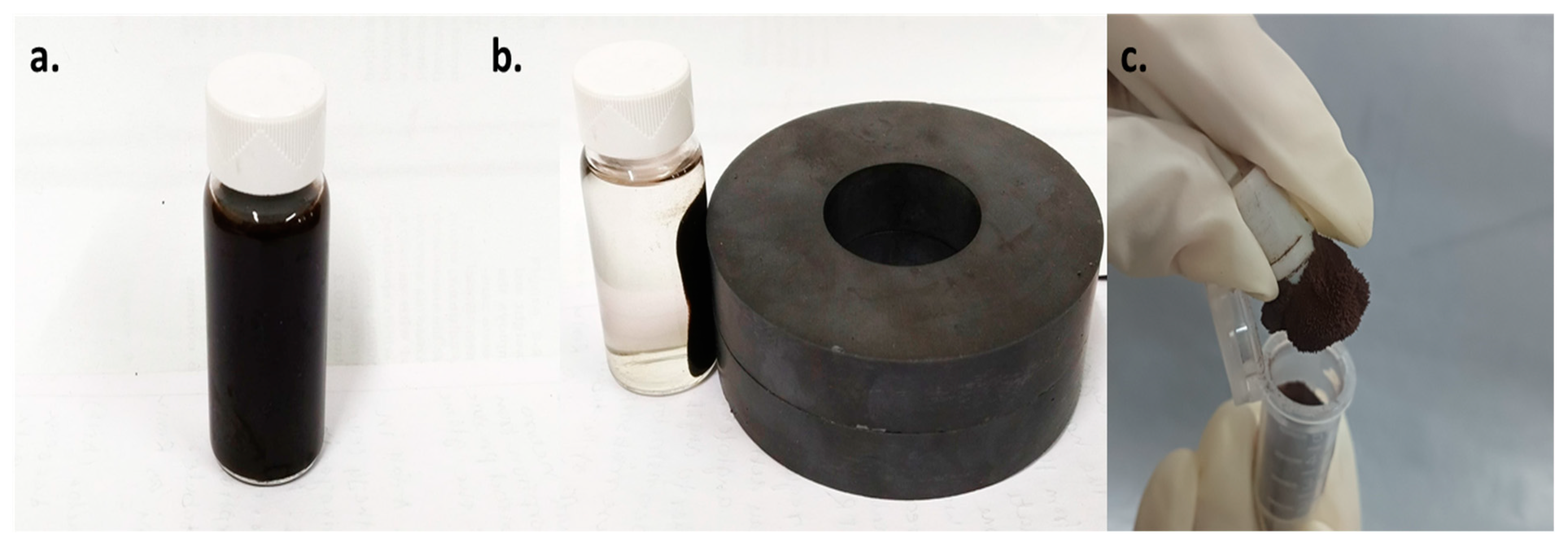 Magnetochemistry 11 00014 g012