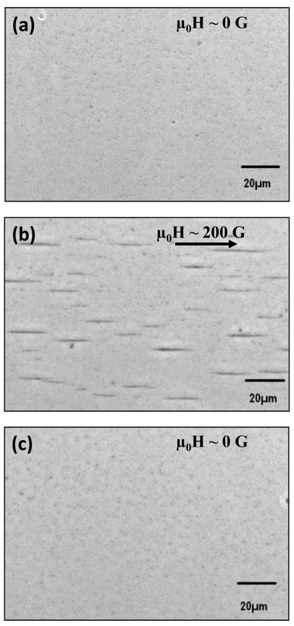 Magnetochemistry 11 00024 g006 Magnetochemistry 11 00024 g006