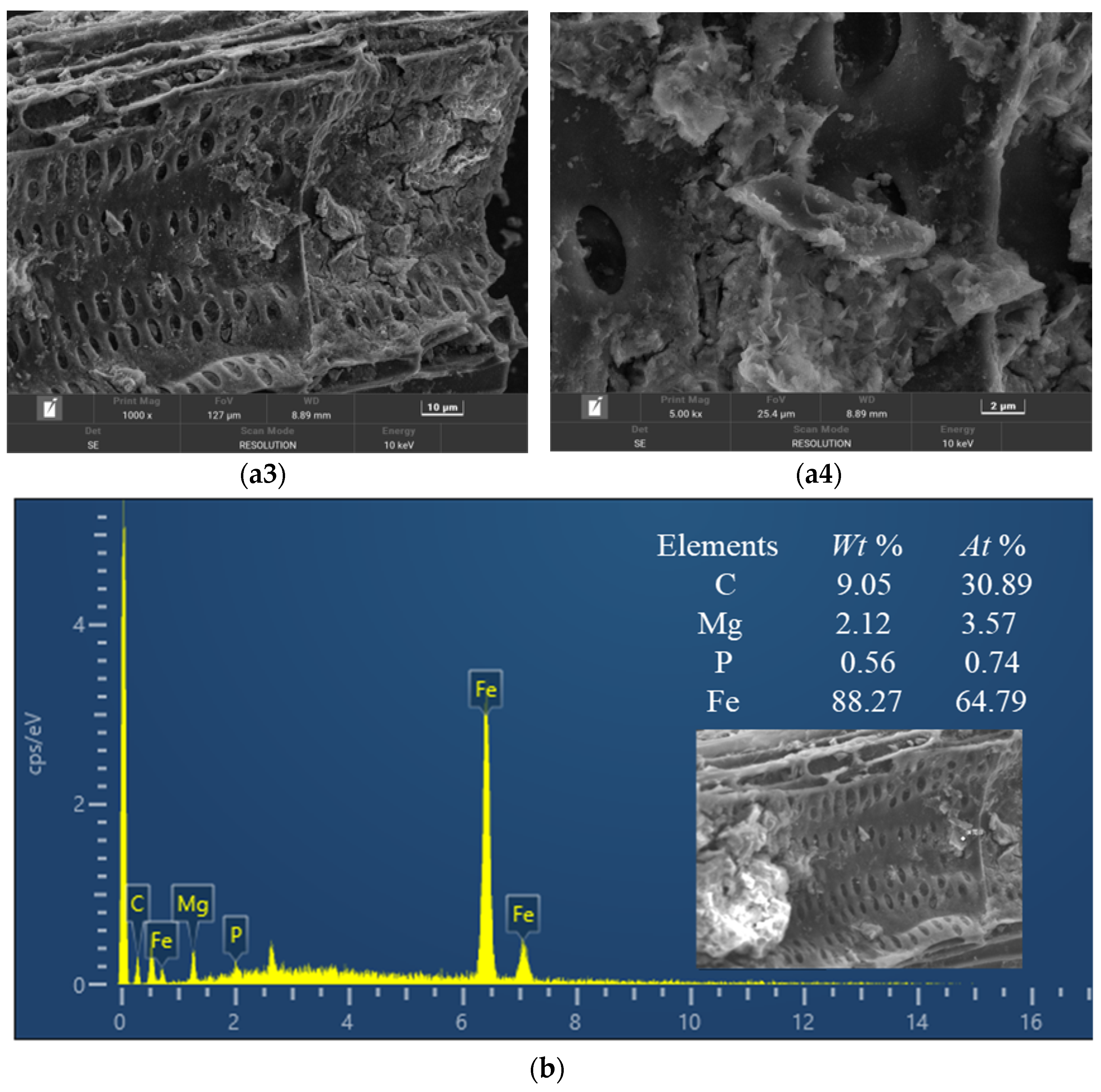 Magnetochemistry 11 00027 g002b
