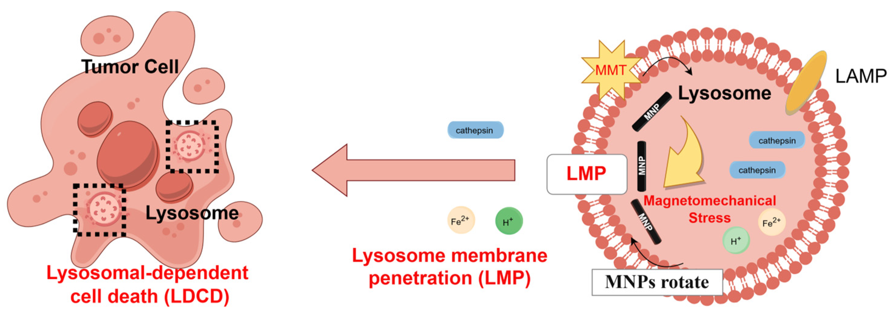 Magnetochemistry 11 00033 g006