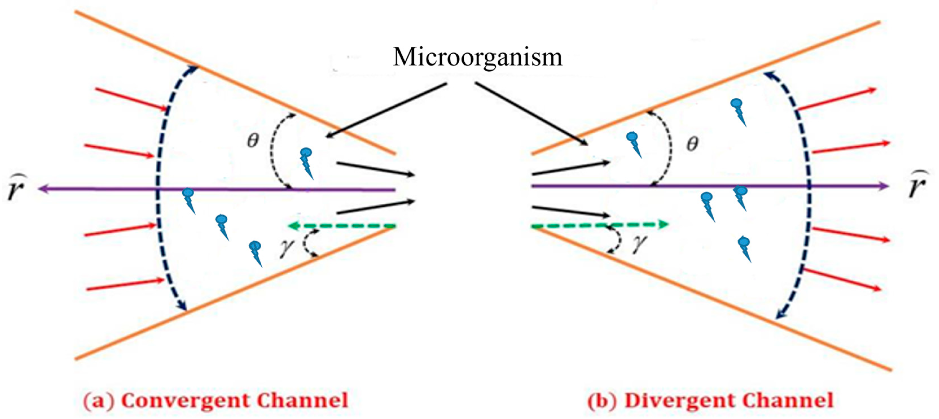 Magnetochemistry 11 00037 g001 Magnetochemistry 11 00037 g001
