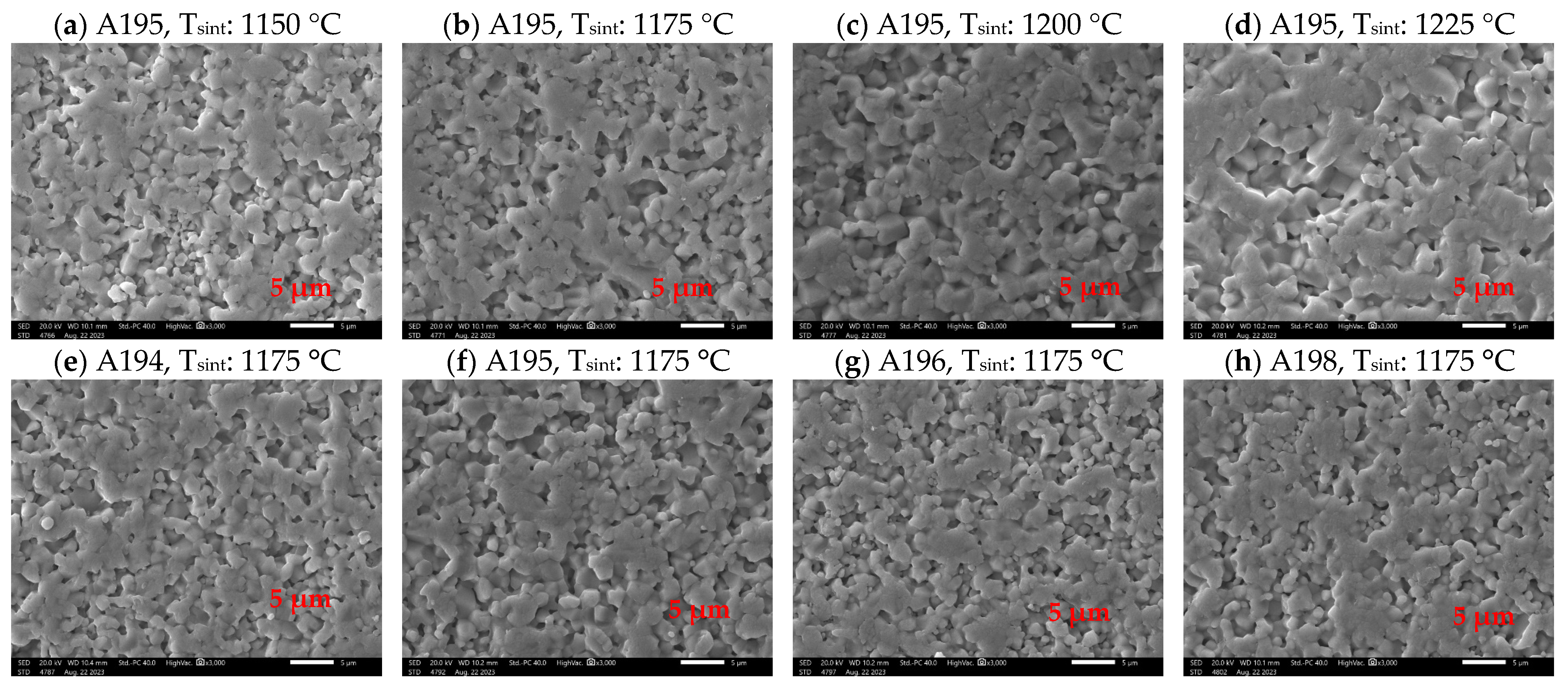 Magnetochemistry 11 00044 g004 Magnetochemistry 11 00044 g004