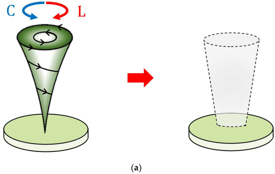 Magnetochemistry 11 00051 g007a Magnetochemistry 11 00051 g007a