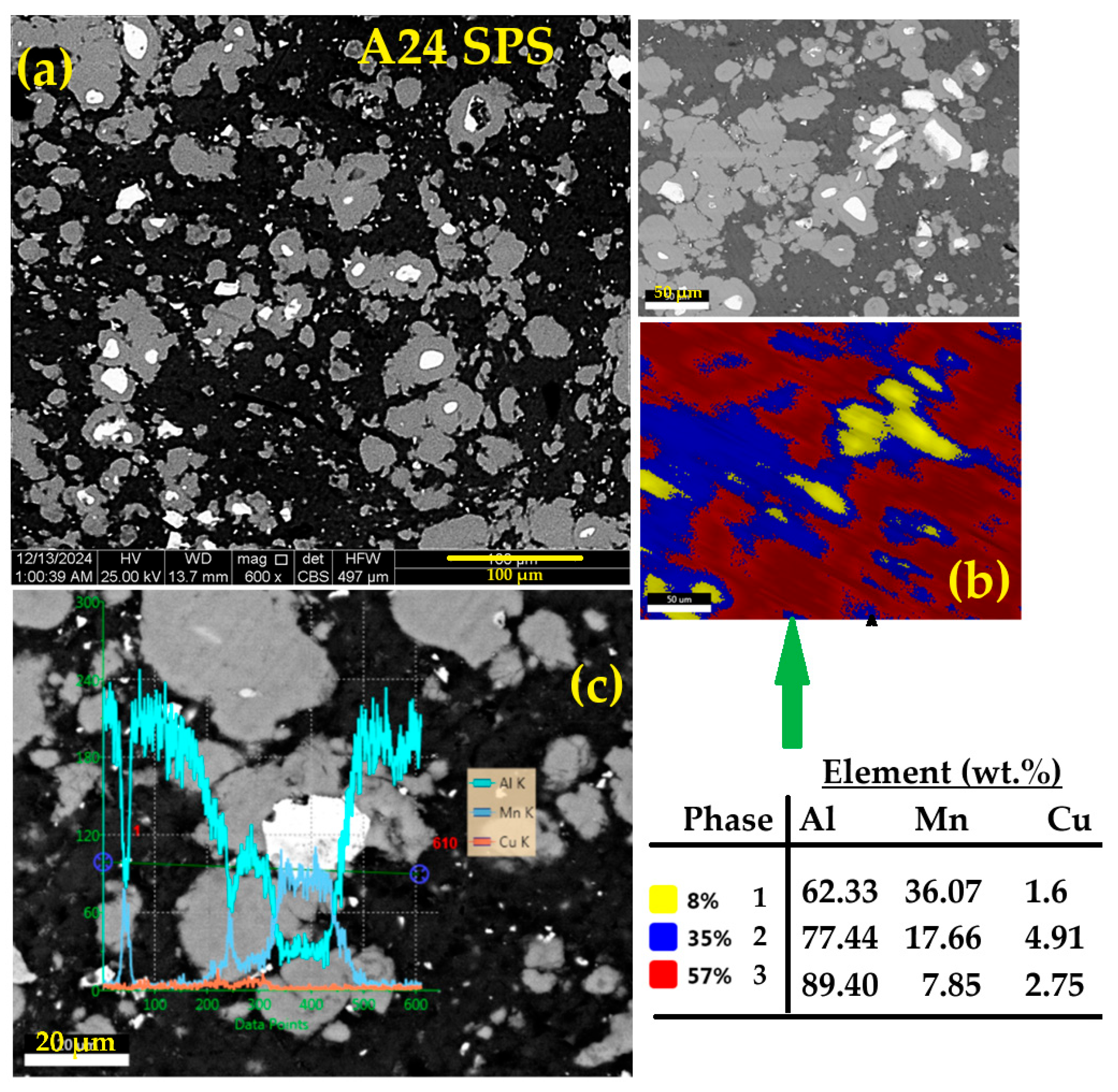 Magnetochemistry 11 00059 g013