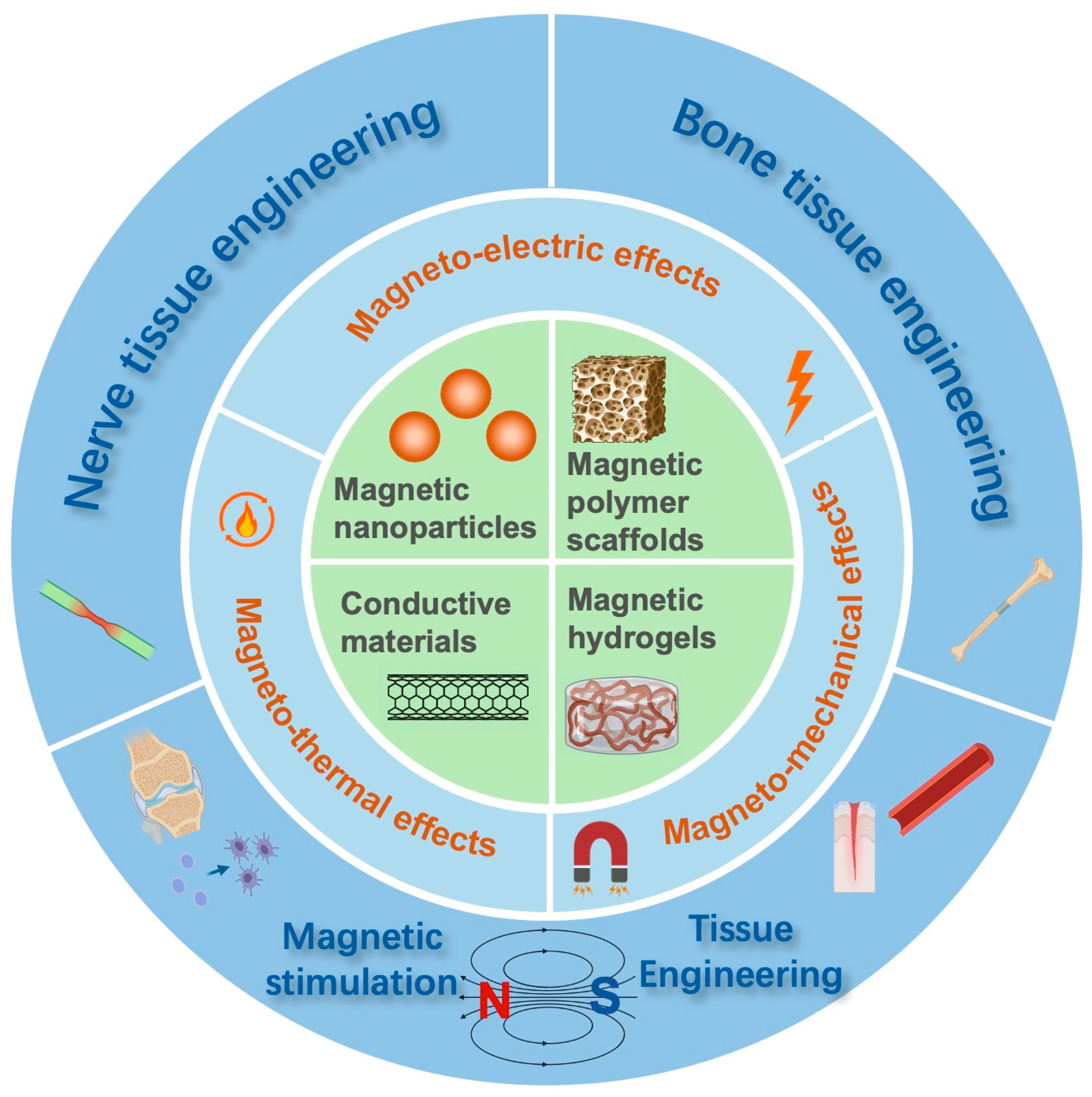 Magnetochemistry 11 00082 g001