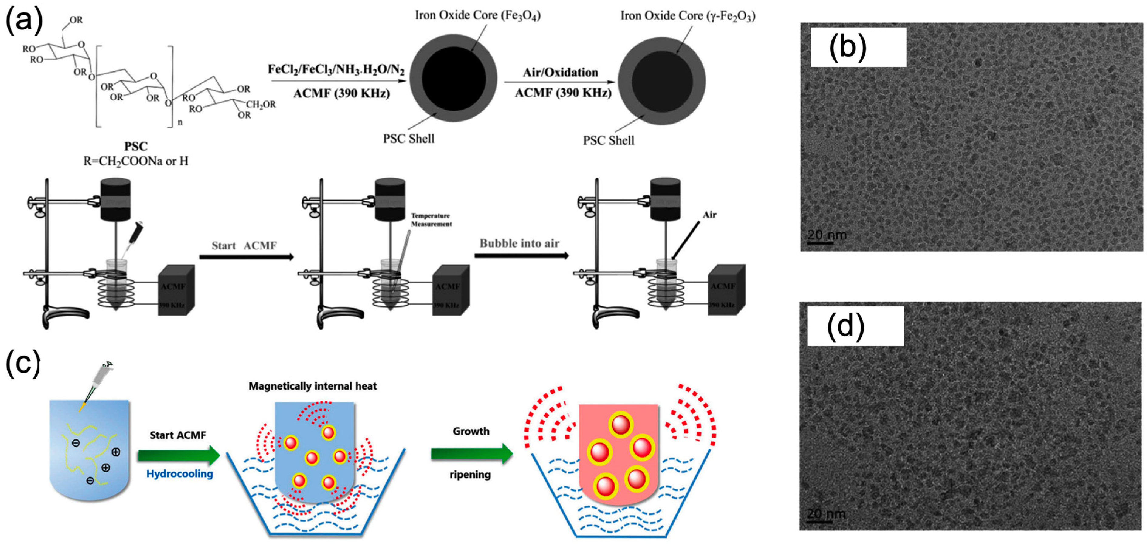 Magnetochemistry 11 00082 g002