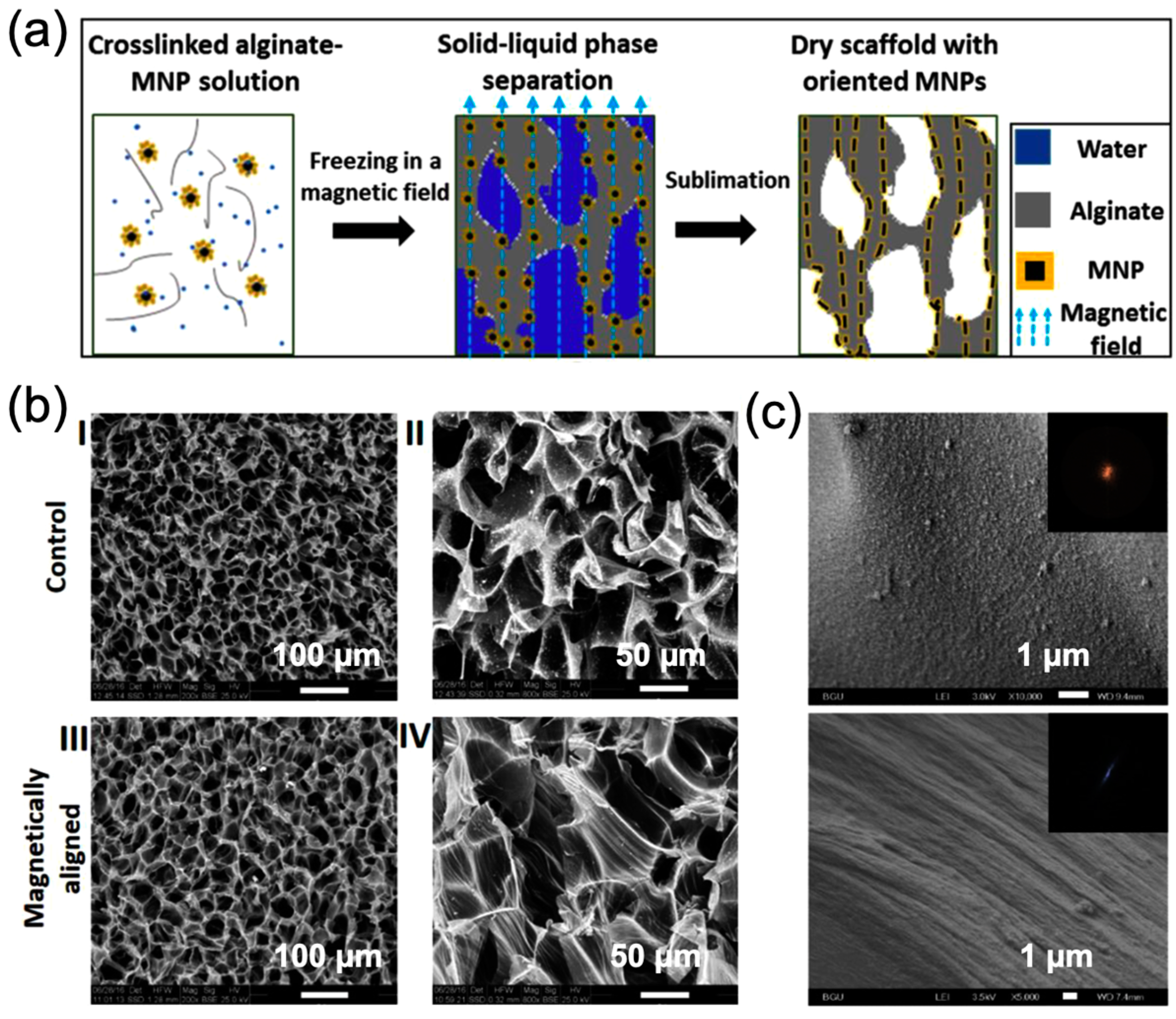 Magnetochemistry 11 00082 g003