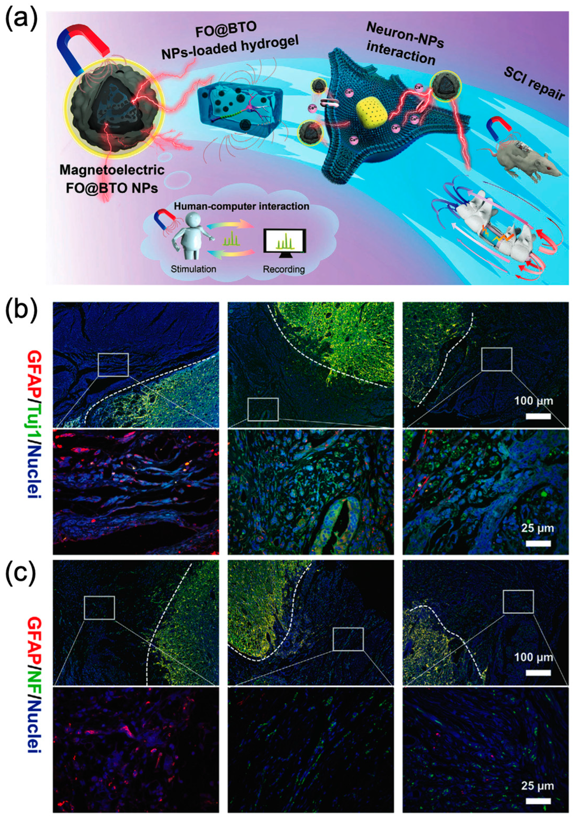 Magnetochemistry 11 00082 g004