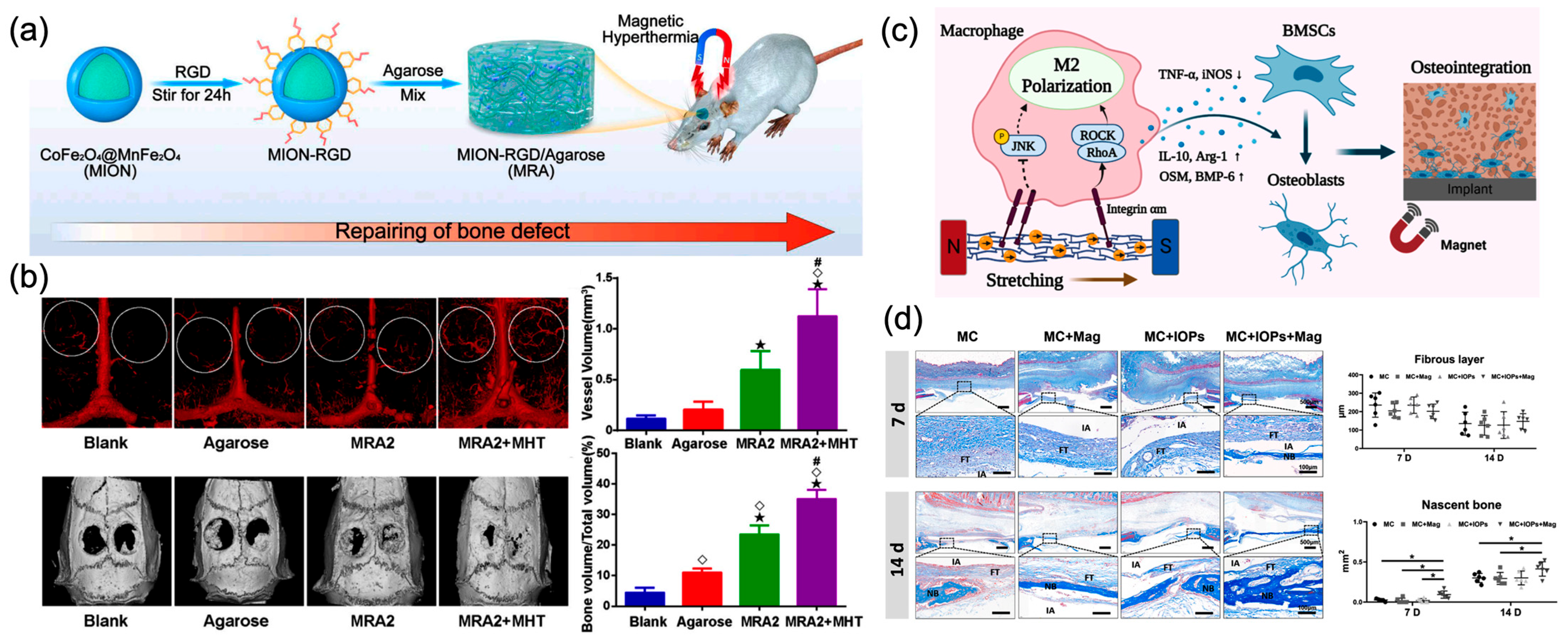 Magnetochemistry 11 00082 g006