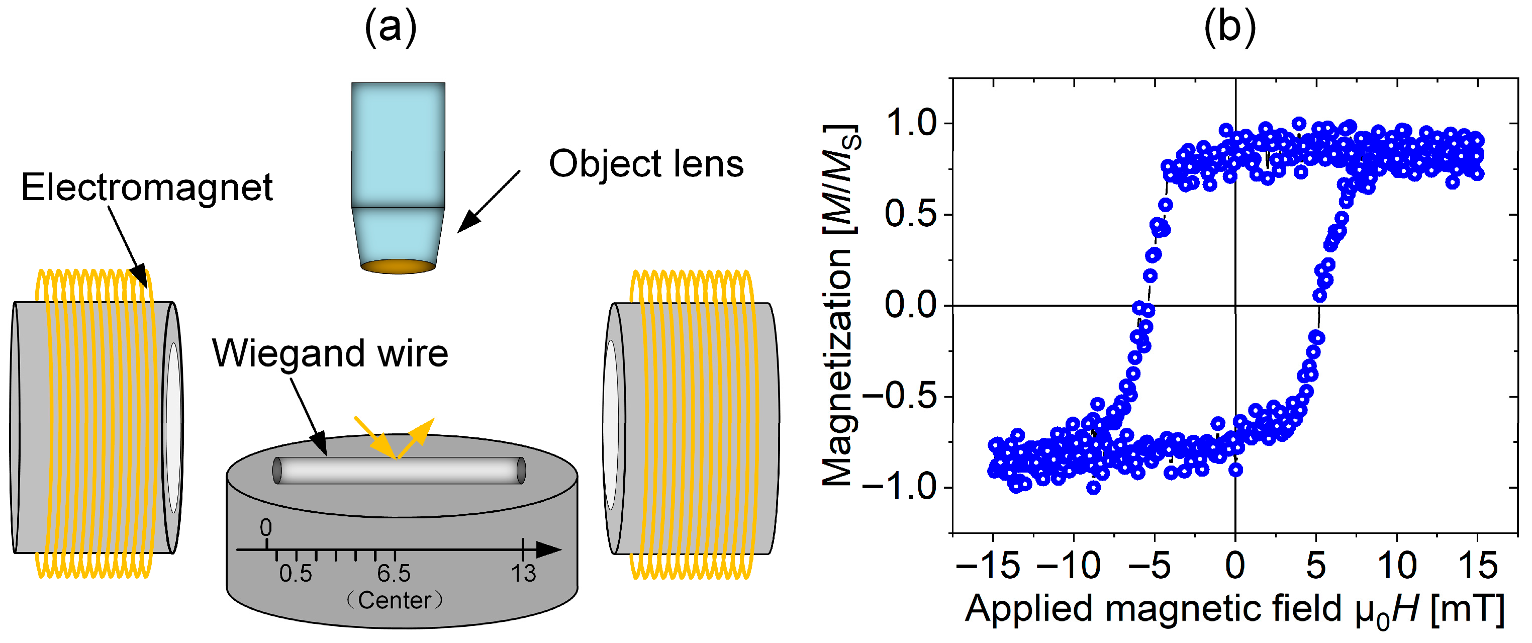 Magnetochemistry 12 00008 g001