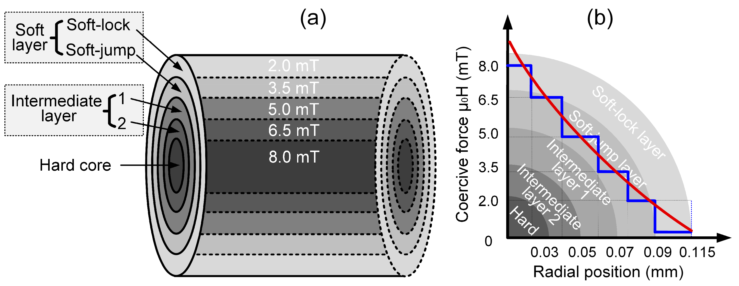 Magnetochemistry 12 00008 g006