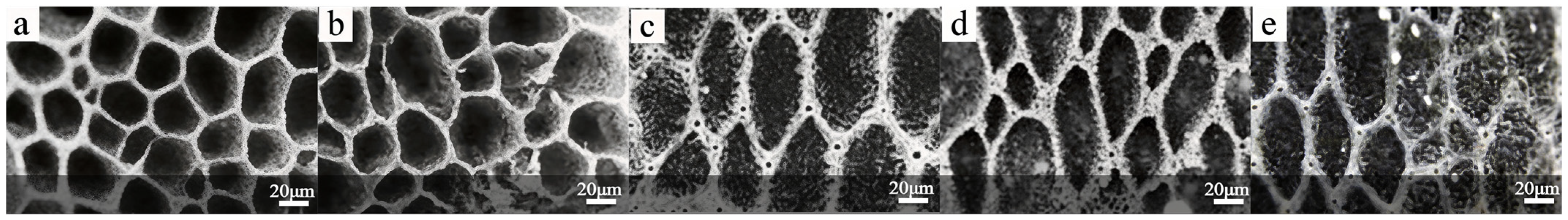 Magnetochemistry 12 00011 g004