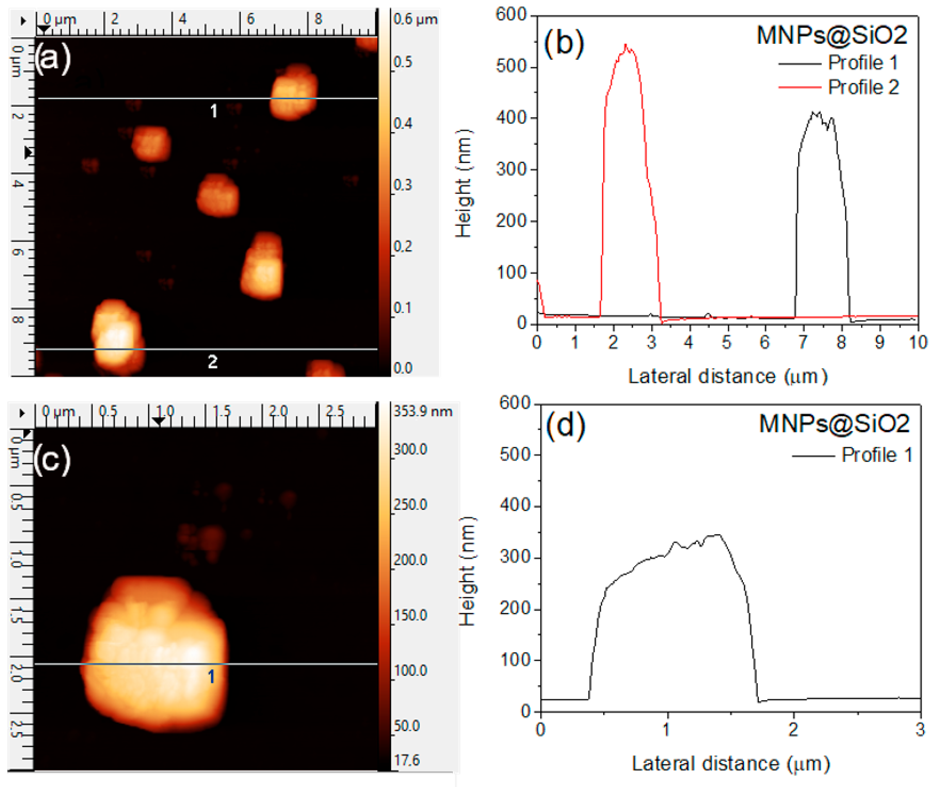 Magnetochemistry 12 00016 g002