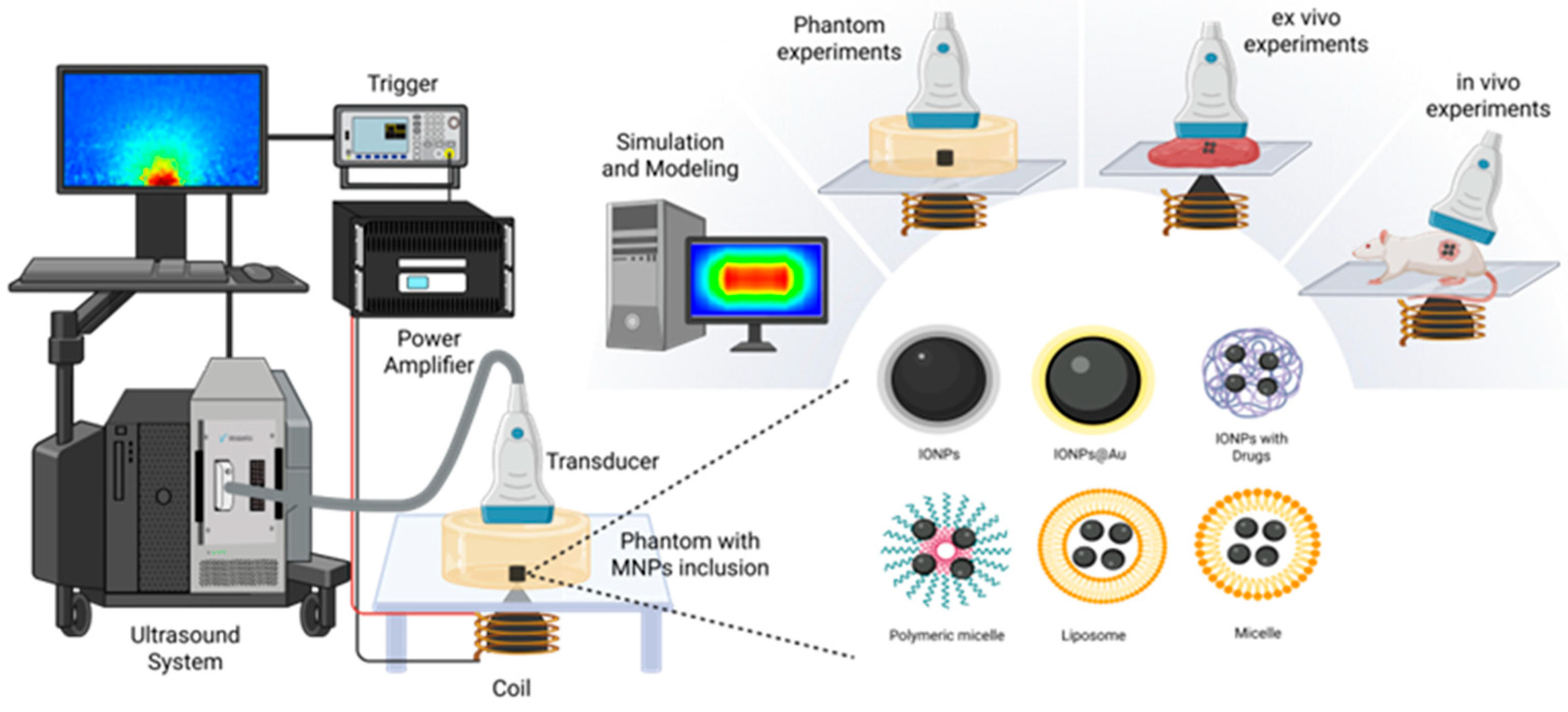 Magnetochemistry 12 00021 g002