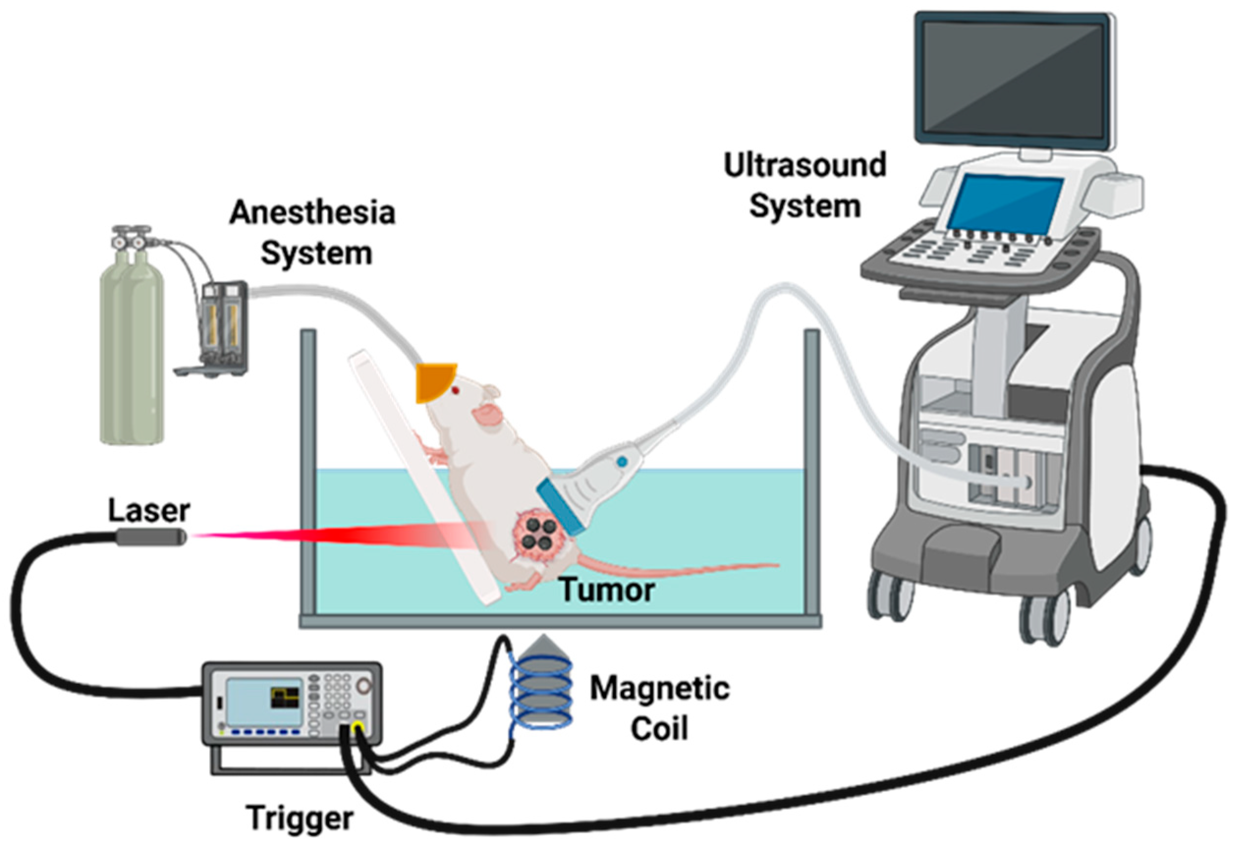 Magnetochemistry 12 00021 g004
