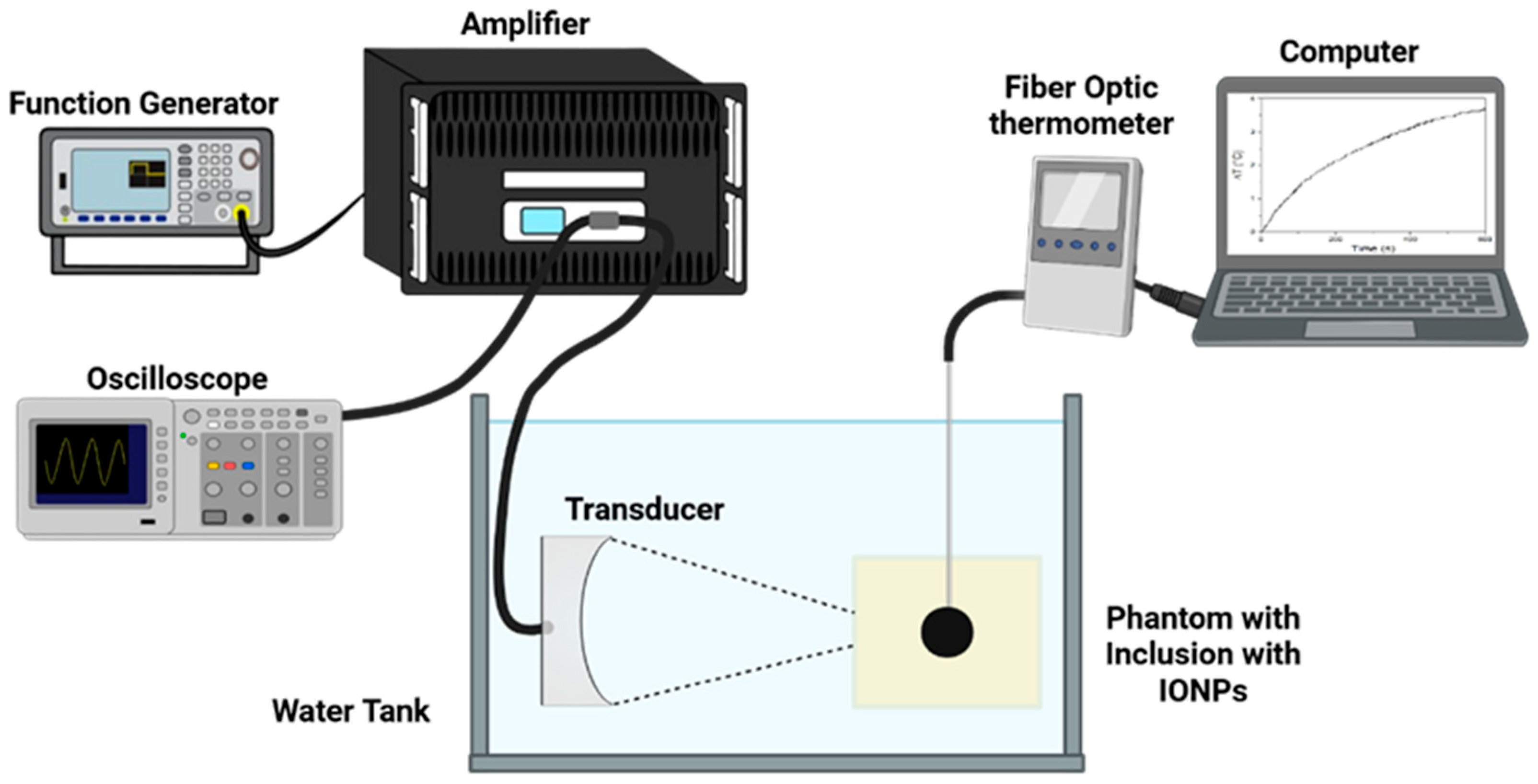 Magnetochemistry 12 00021 g005