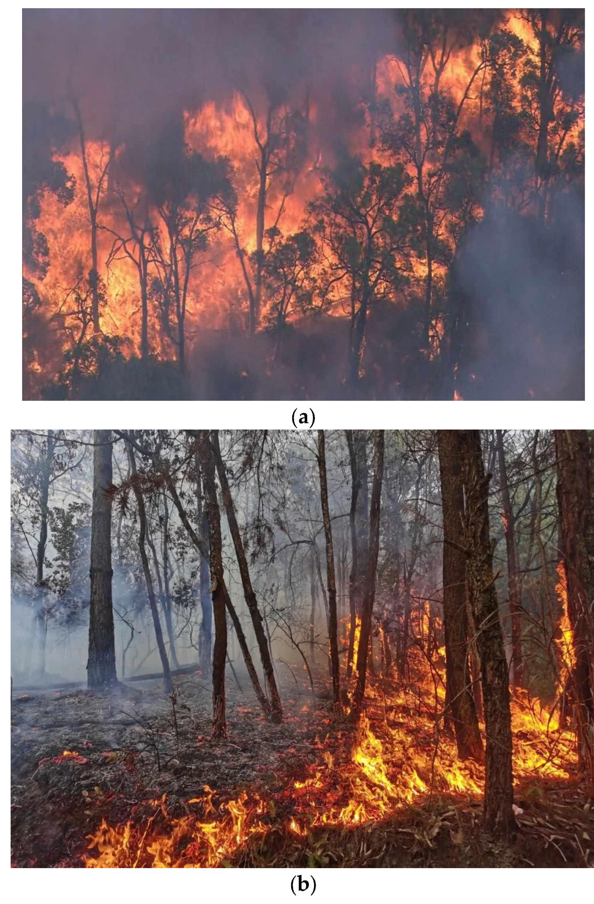 Make 05 00039 g006a Make 05 00039 g006a