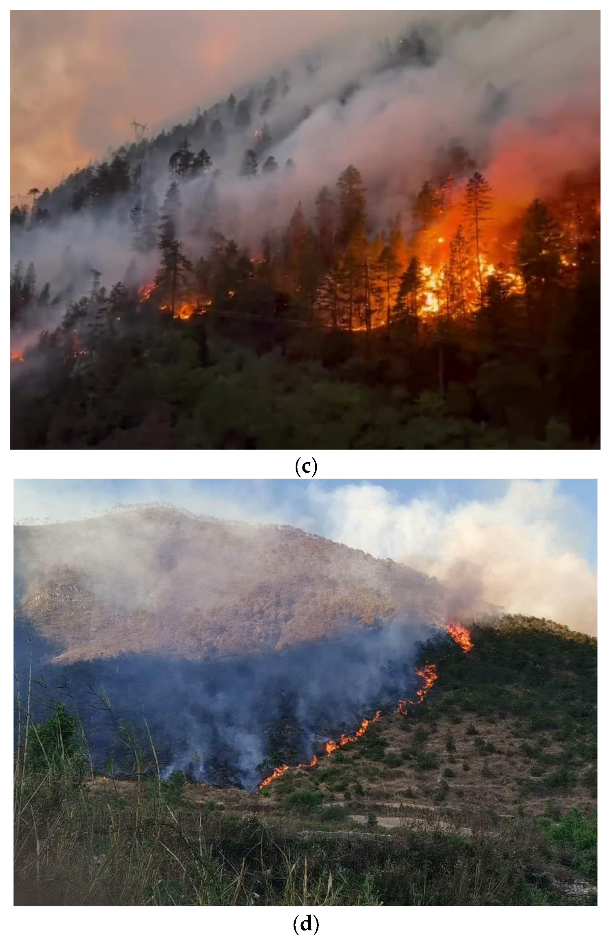 Make 05 00039 g006b Make 05 00039 g006b