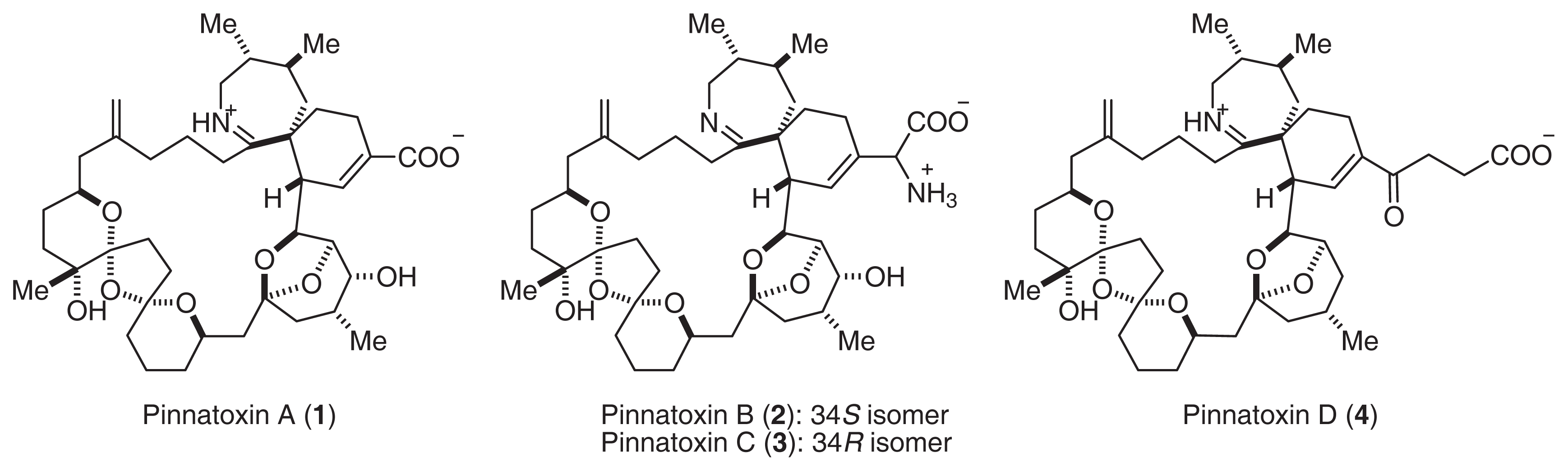 Marinedrugs 02 00039f1