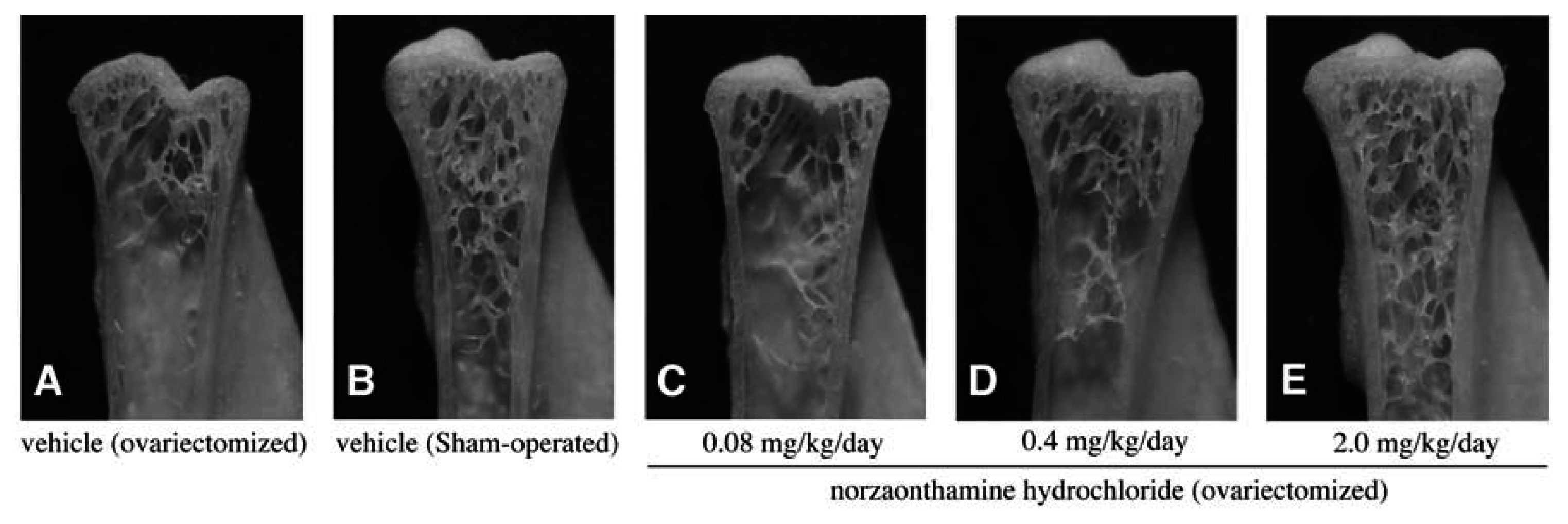 Marinedrugs 02 00039f11