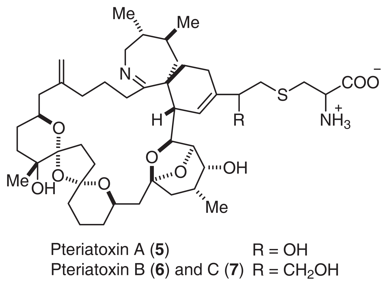 Marinedrugs 02 00039f2