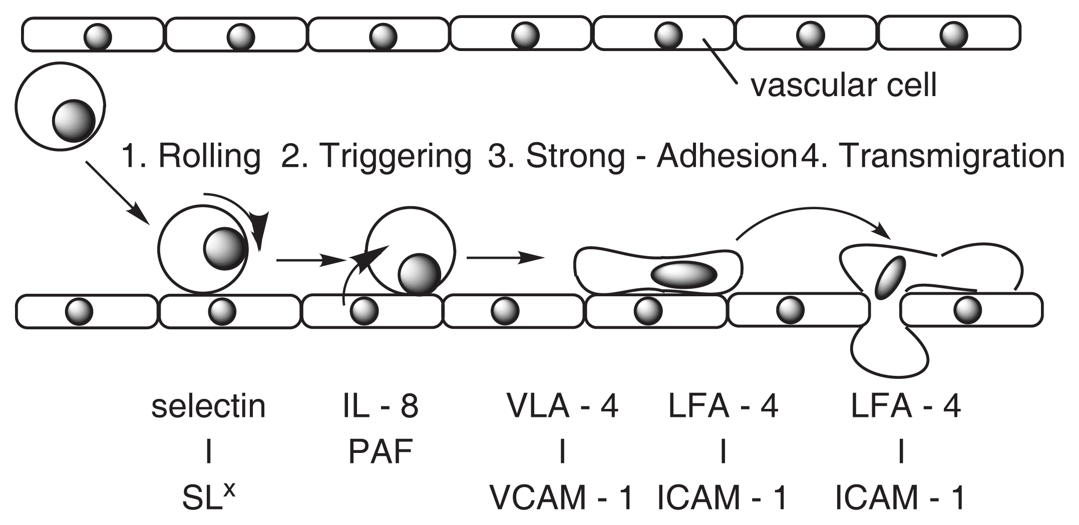 Marinedrugs 02 00039f4