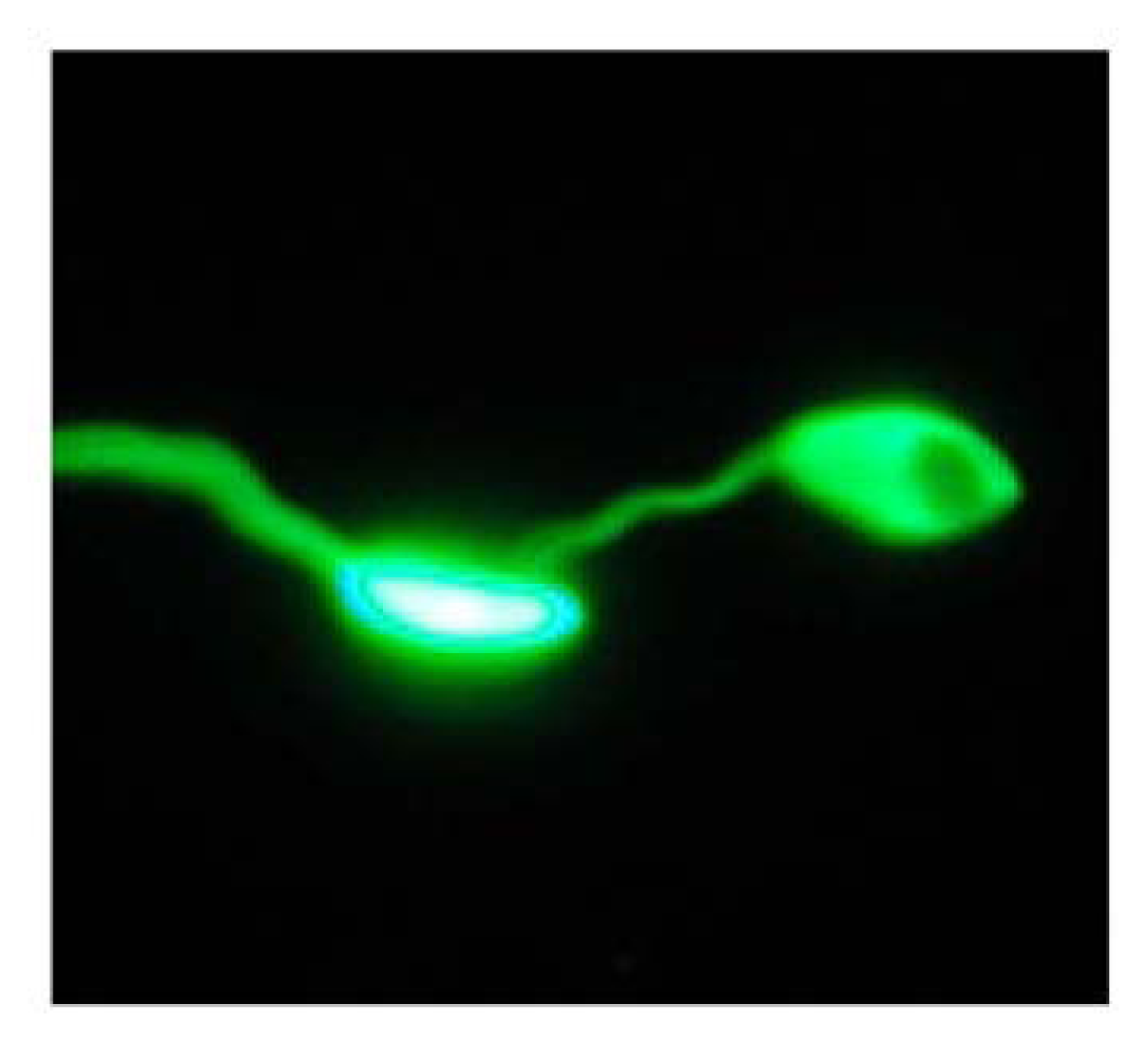 Marinedrugs 02 00055f1