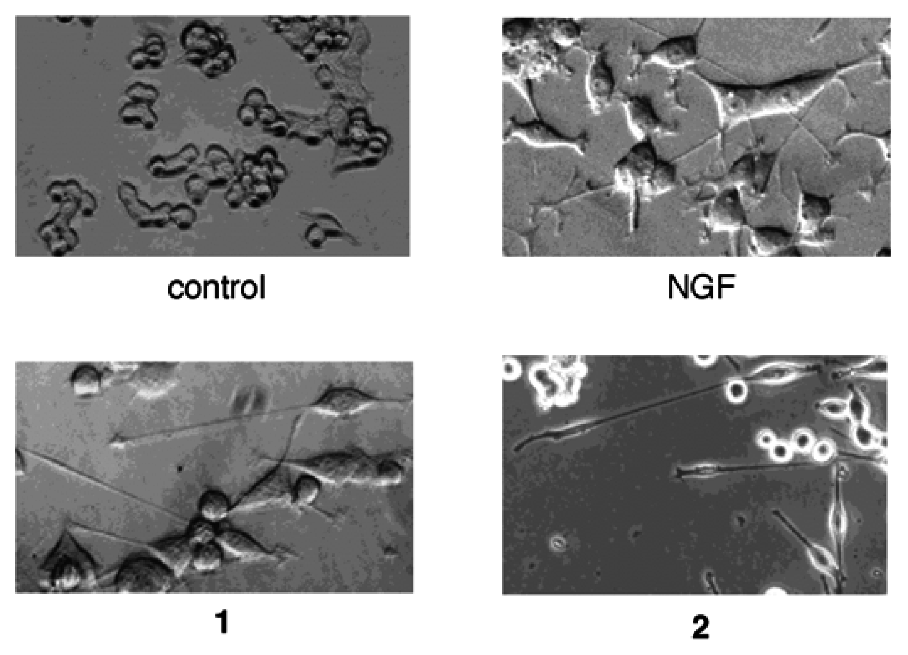 Marinedrugs 02 00170f1