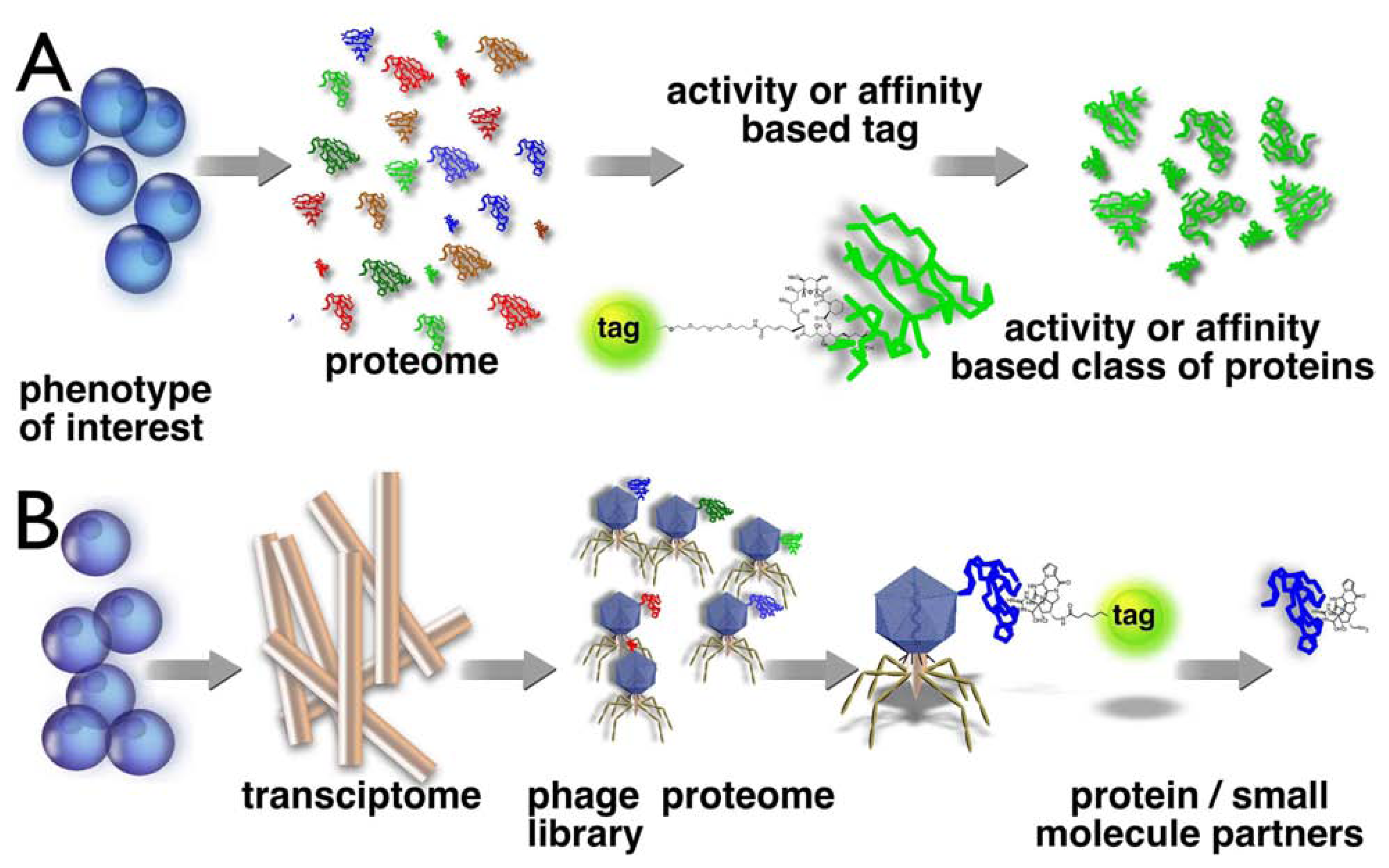 Marinedrugs 03 00036f1