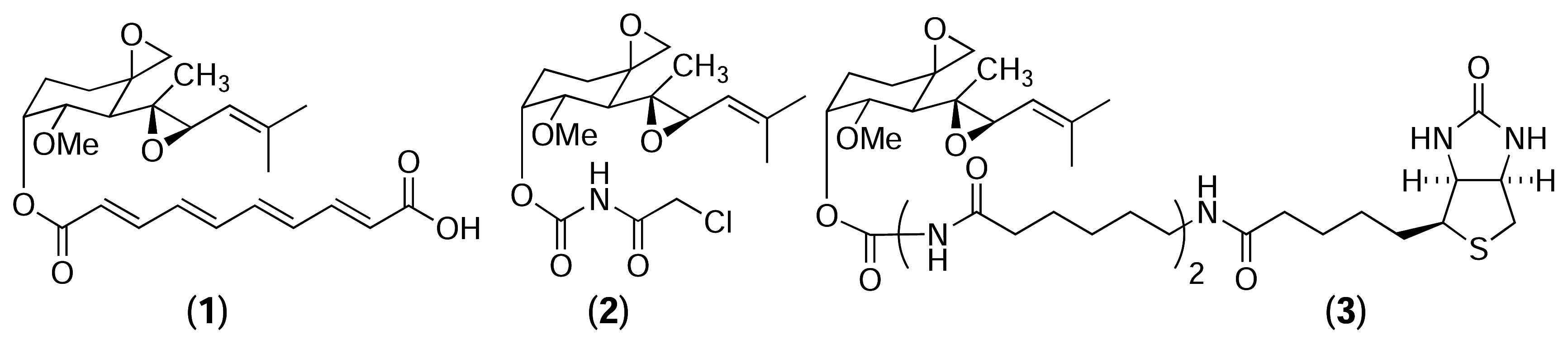 Marinedrugs 03 00036f14