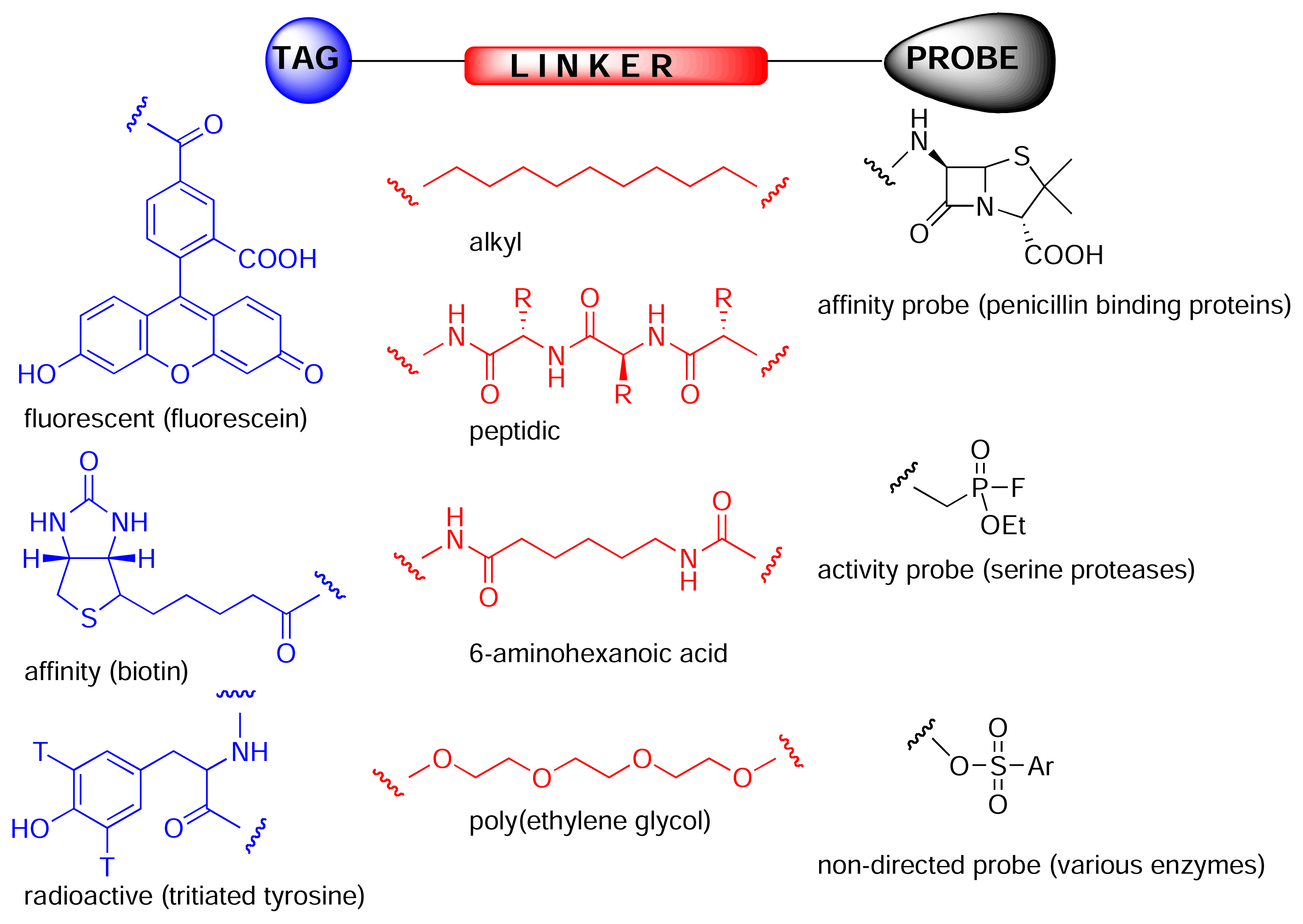 Marinedrugs 03 00036f2
