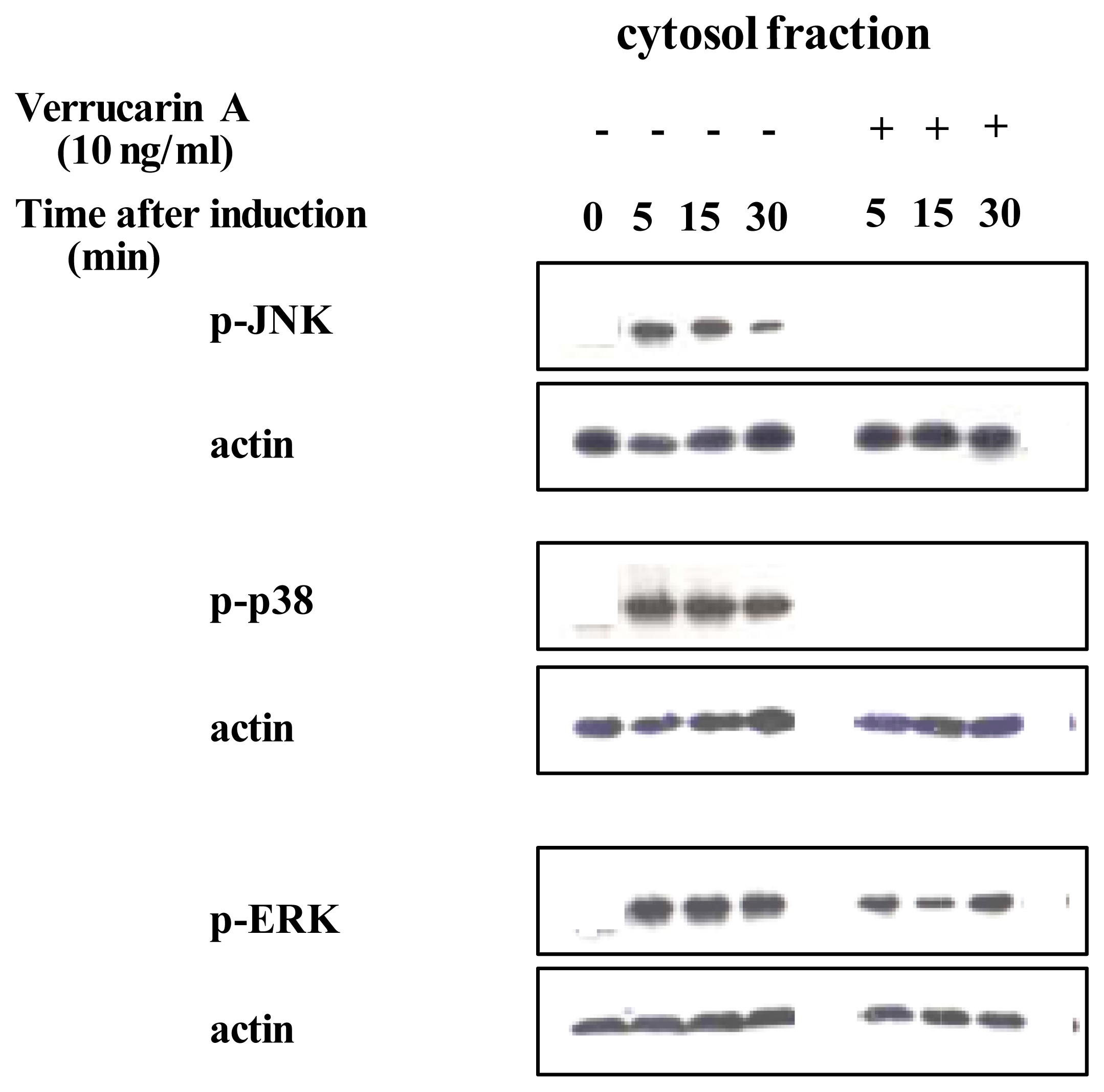 Marinedrugs 03 00064f4