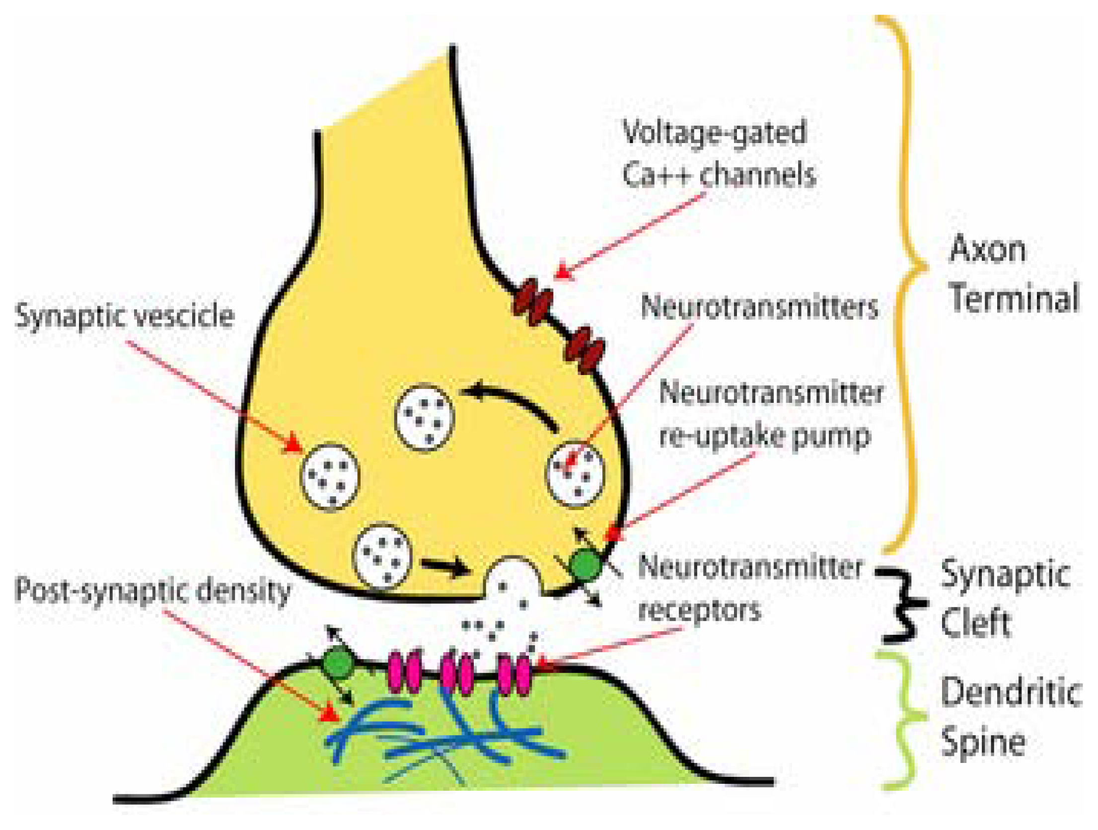 Marinedrugs 04 00037f1