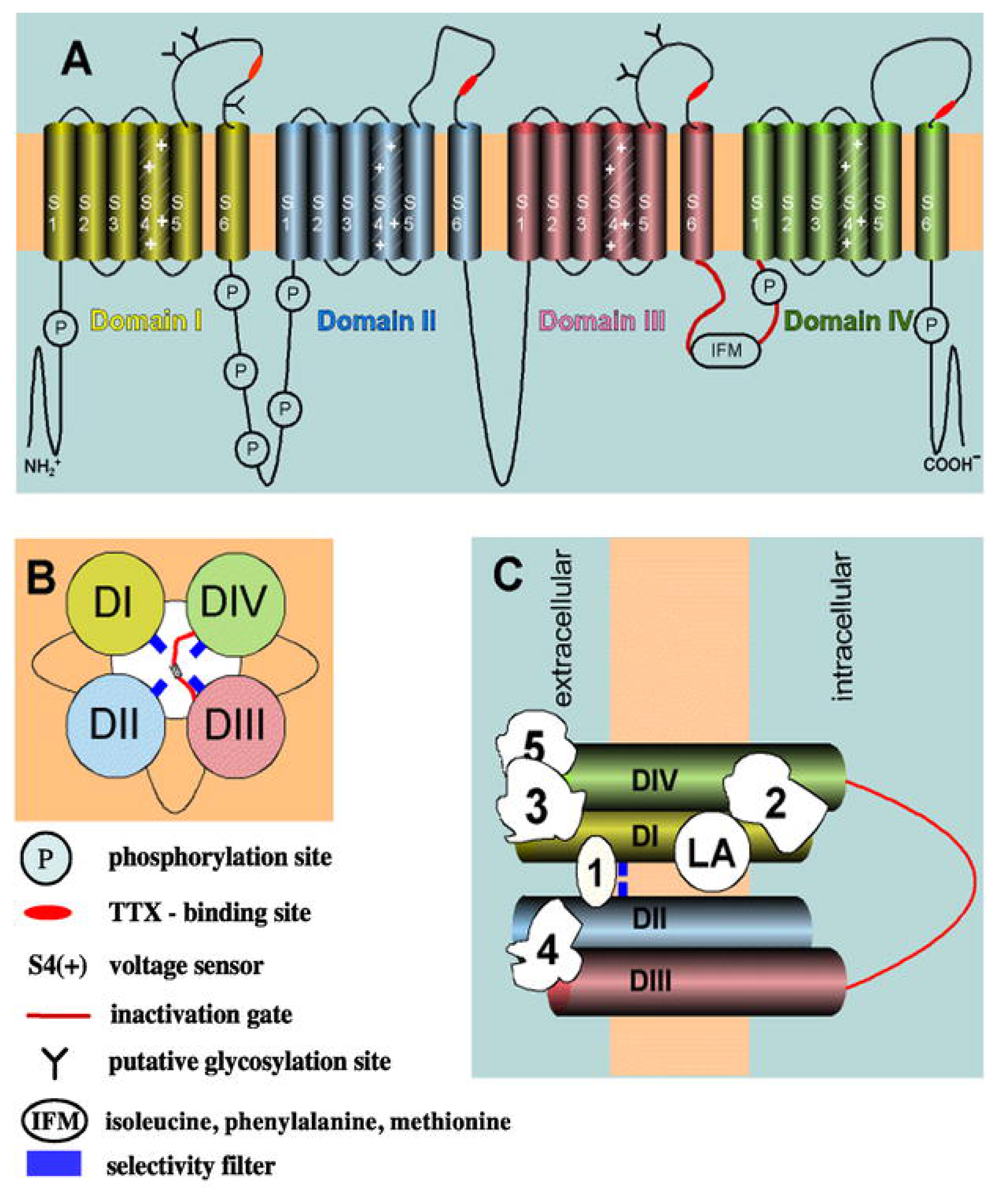 Marinedrugs 04 00037f2