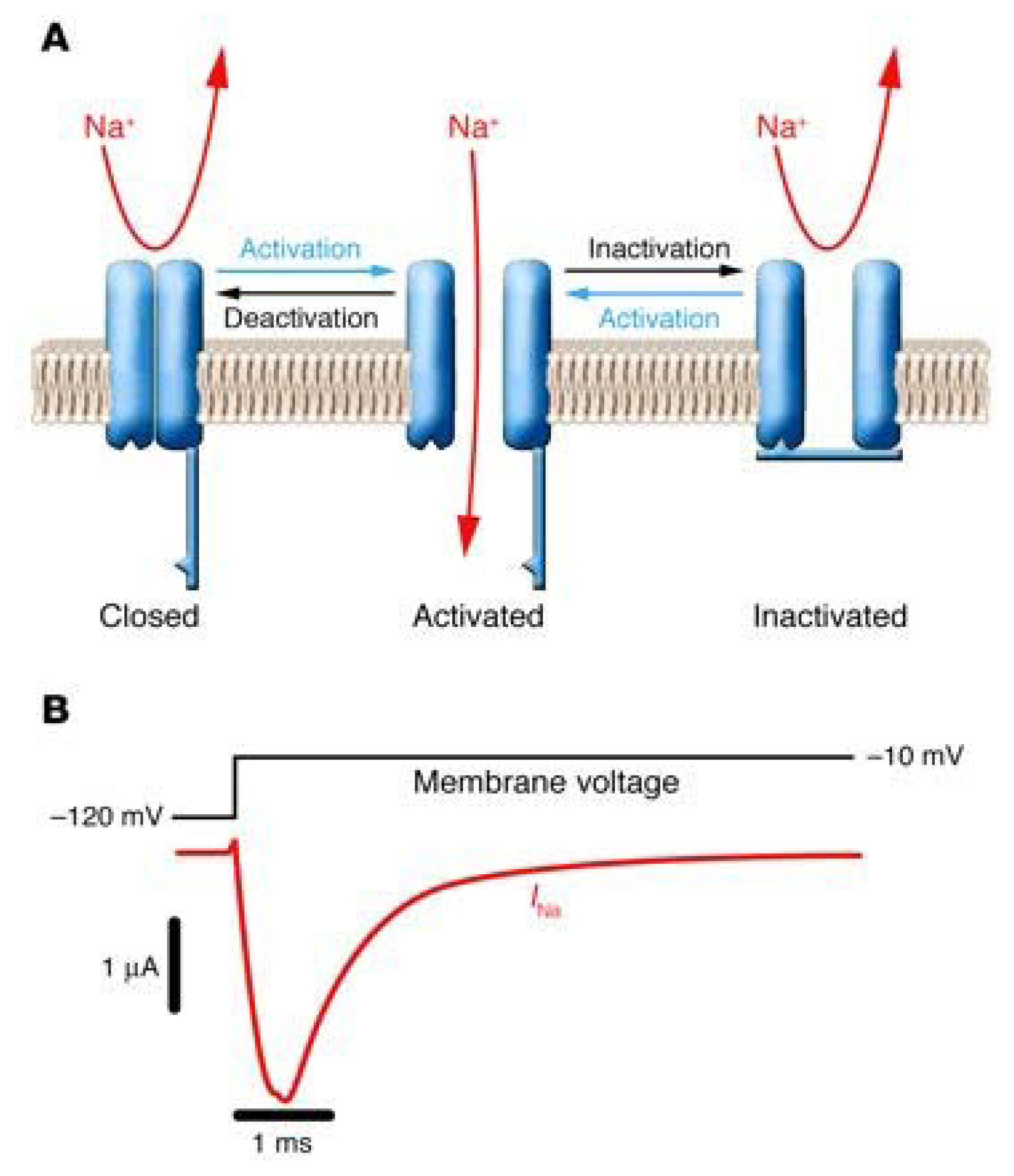 Marinedrugs 04 00037f3