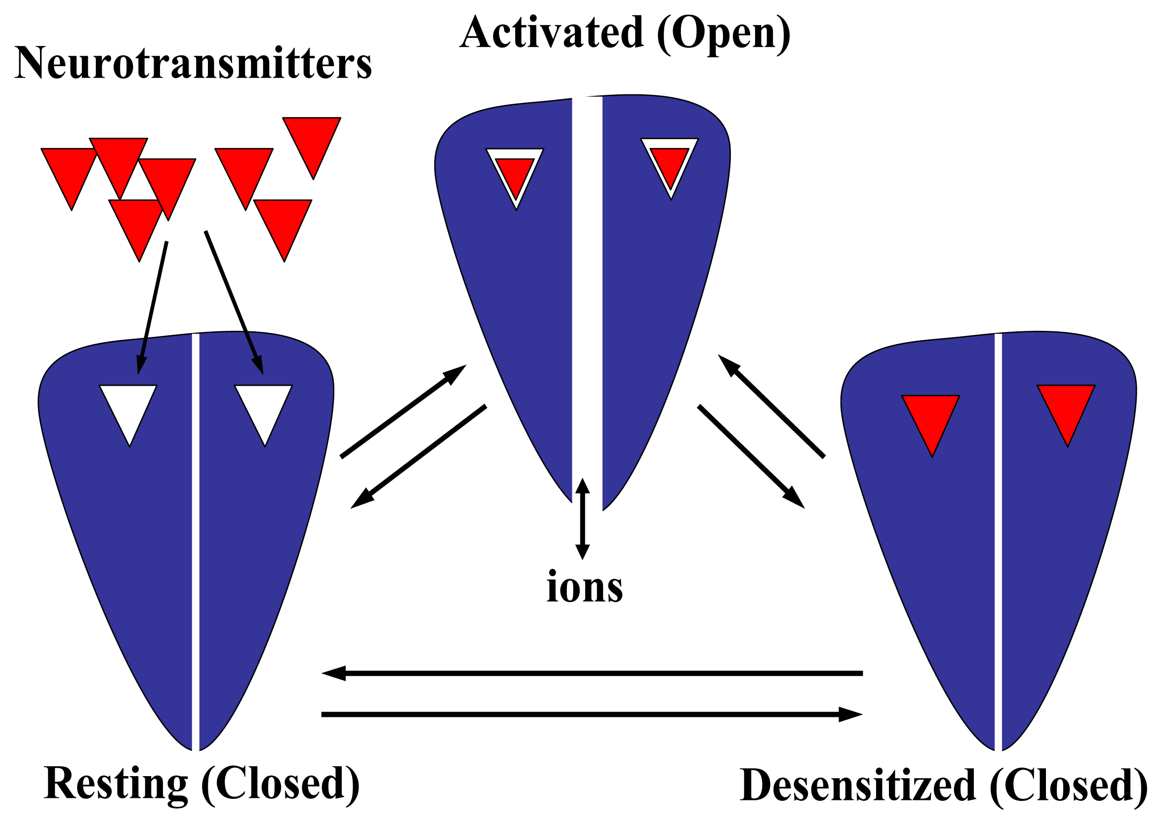 Marinedrugs 04 00037f6