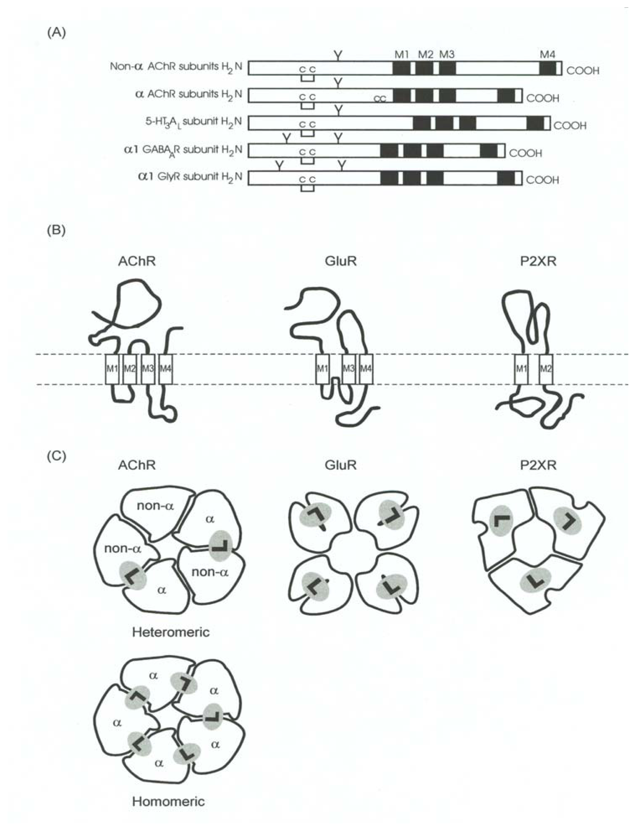Marinedrugs 04 00037f7