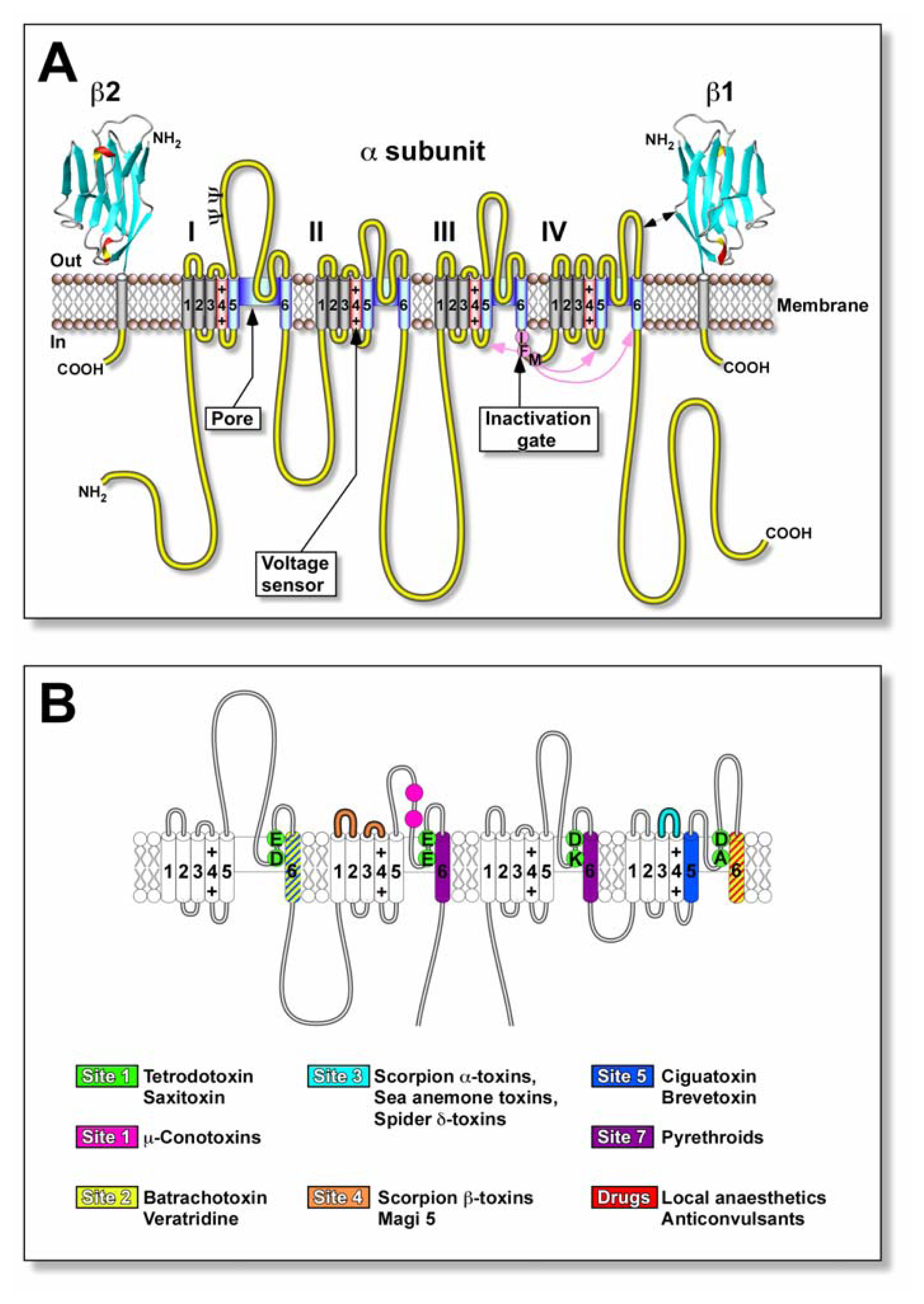 Marinedrugs 04 00082f2