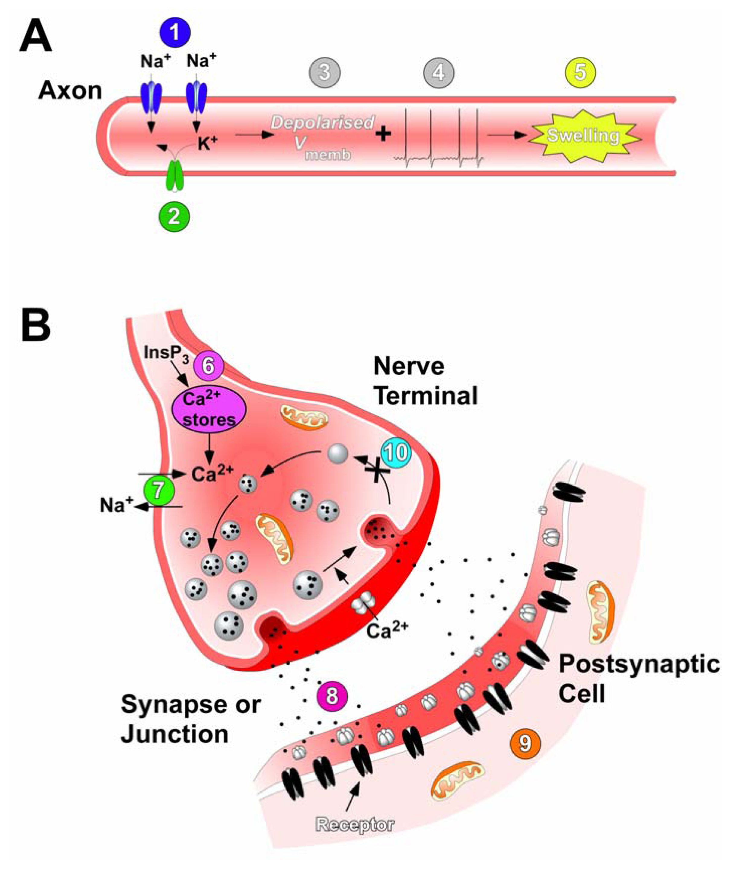 Marinedrugs 04 00082f7