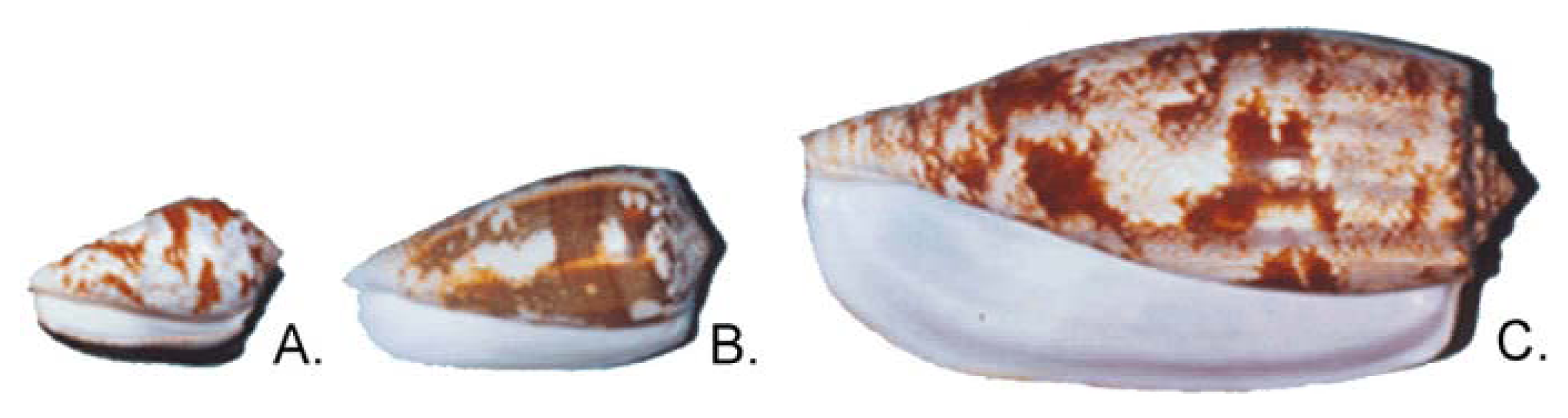 Marinedrugs 04 00193f1