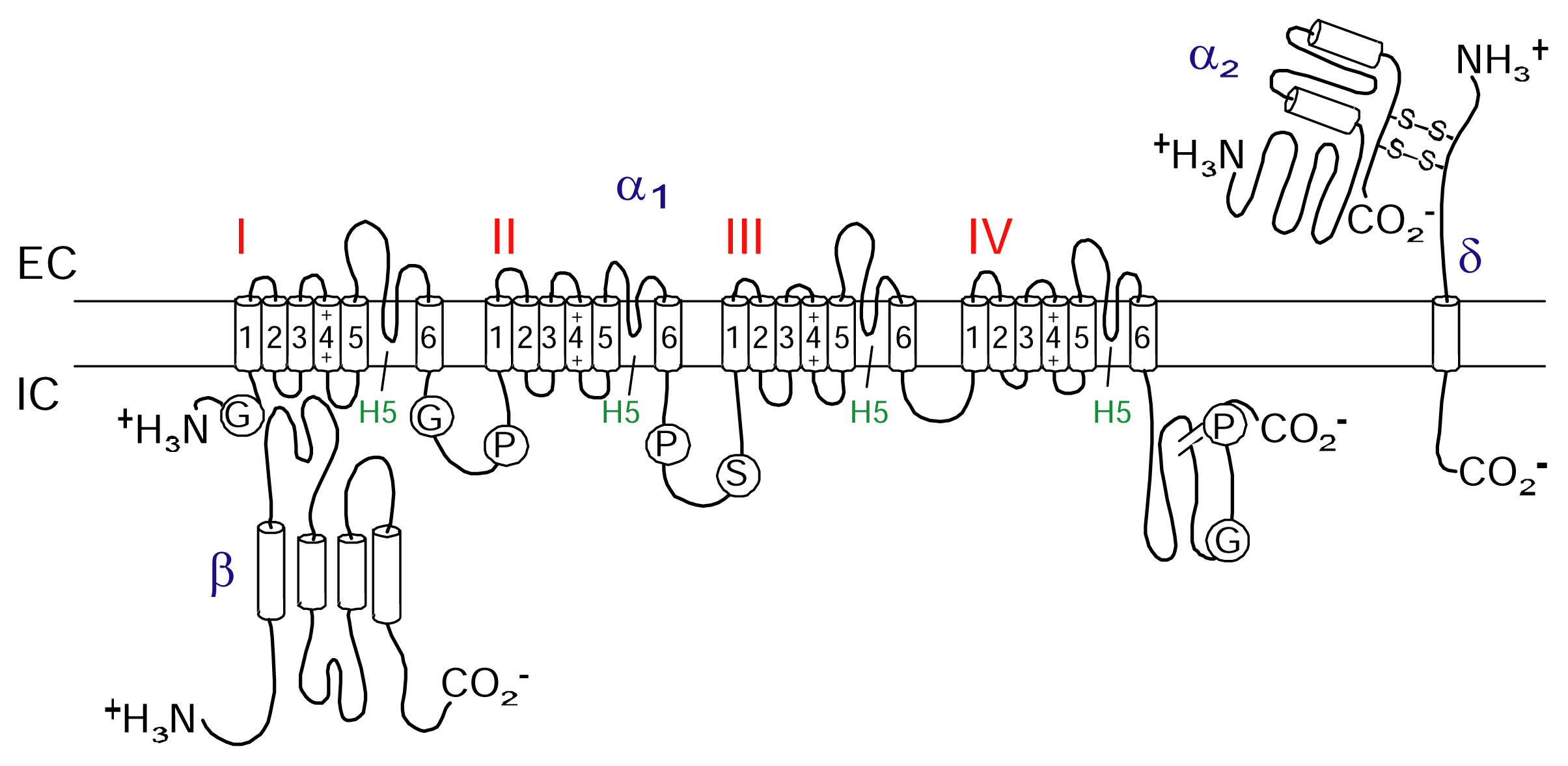 Marinedrugs 04 00193f2