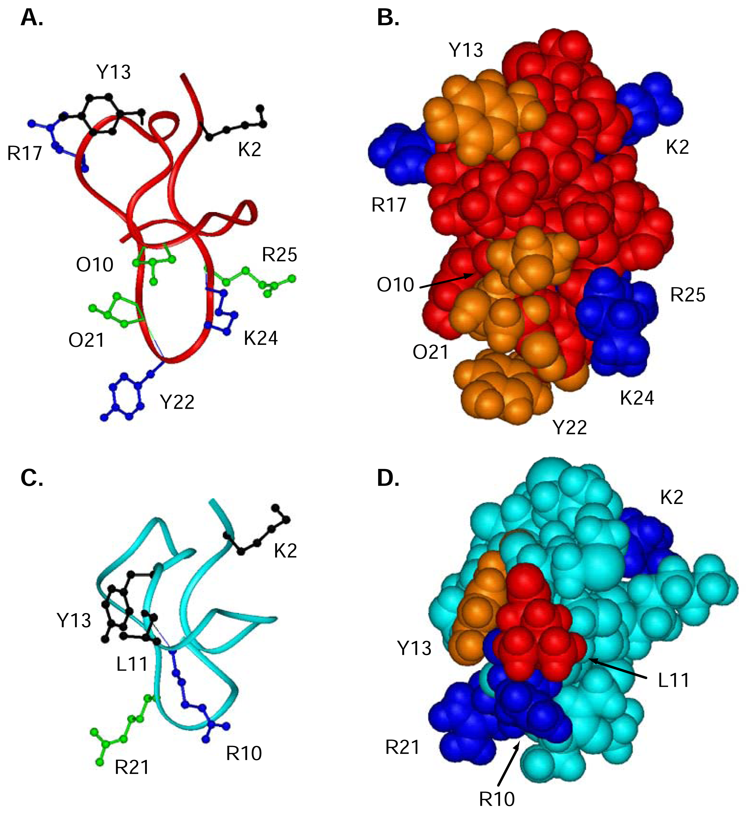 Marinedrugs 04 00193f6