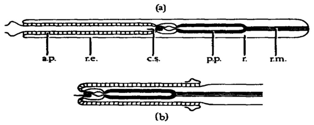 Marinedrugs 04 00255f1 1024