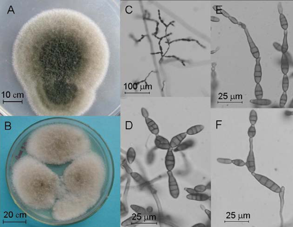 Marinedrugs 07 00097f4