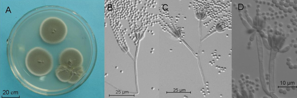 Marinedrugs 07 00097f5 1024